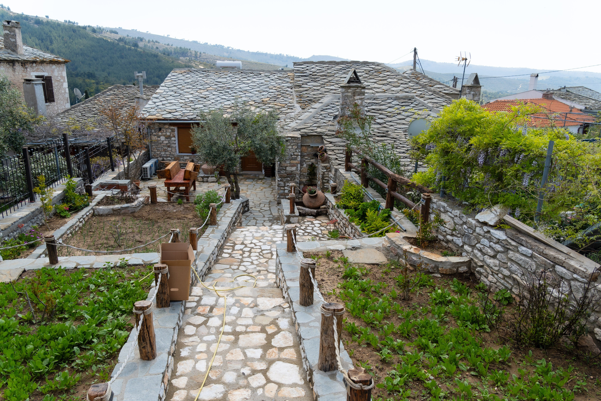 Thasos 2025. Fotografiideplacere.net