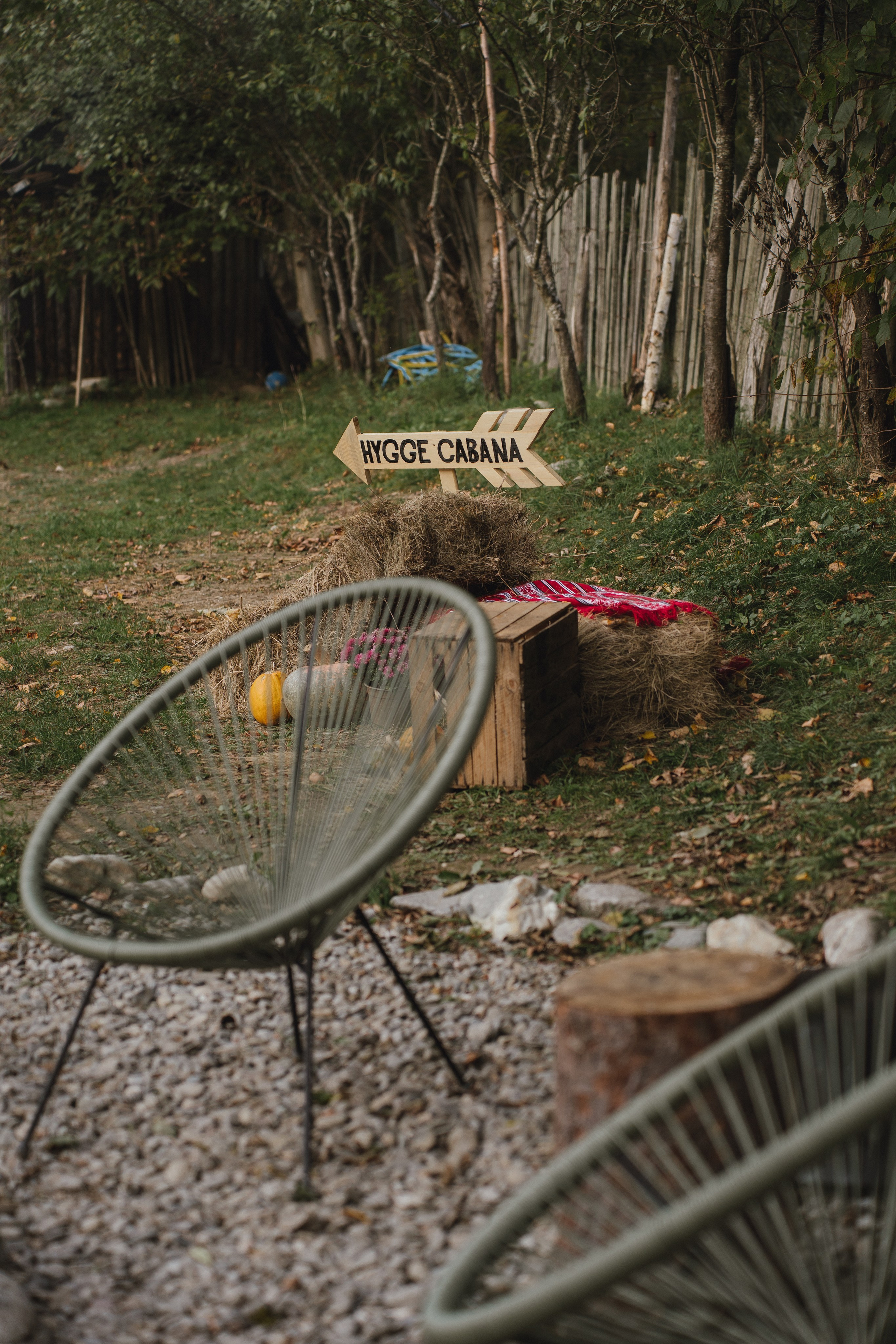 Airbnb. Patricia Morenci — Mountain Adventures for the Wild at Heart