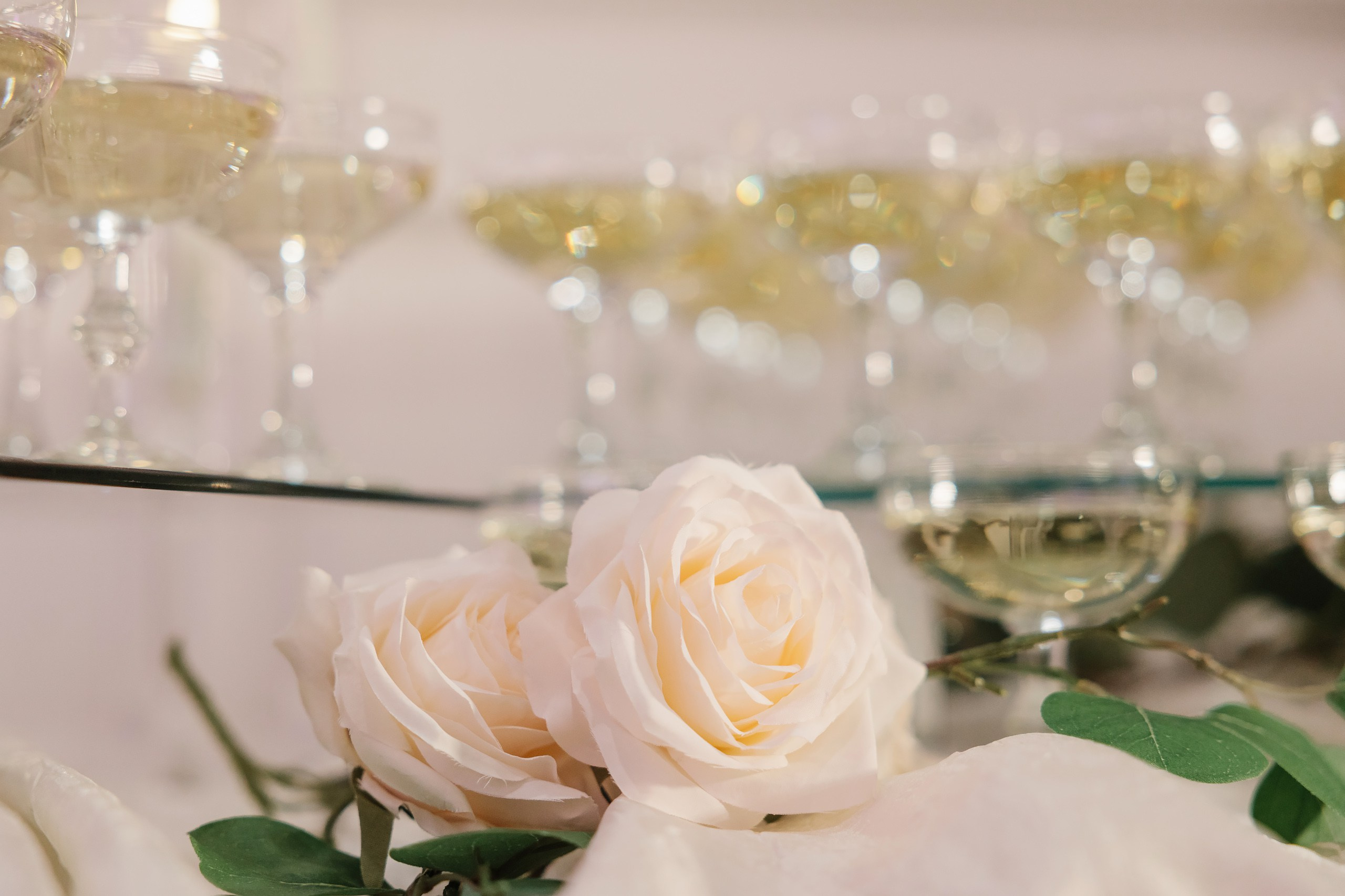 31.08.2024 Wedding. Wedding family event photographer in Chicago Nick Yushevich