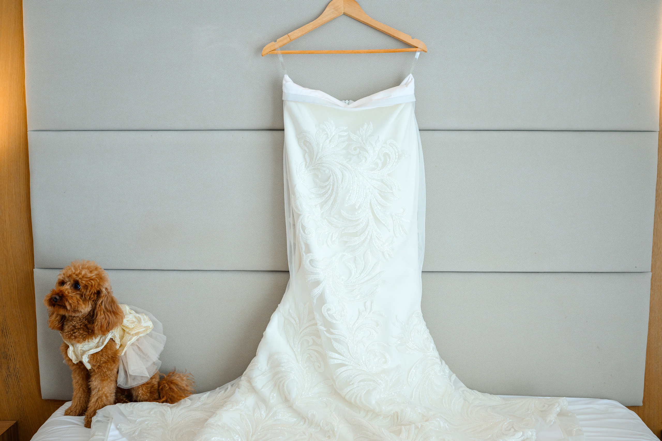 Felicia & Vitalie. Mugurel Olteanu Fotograf