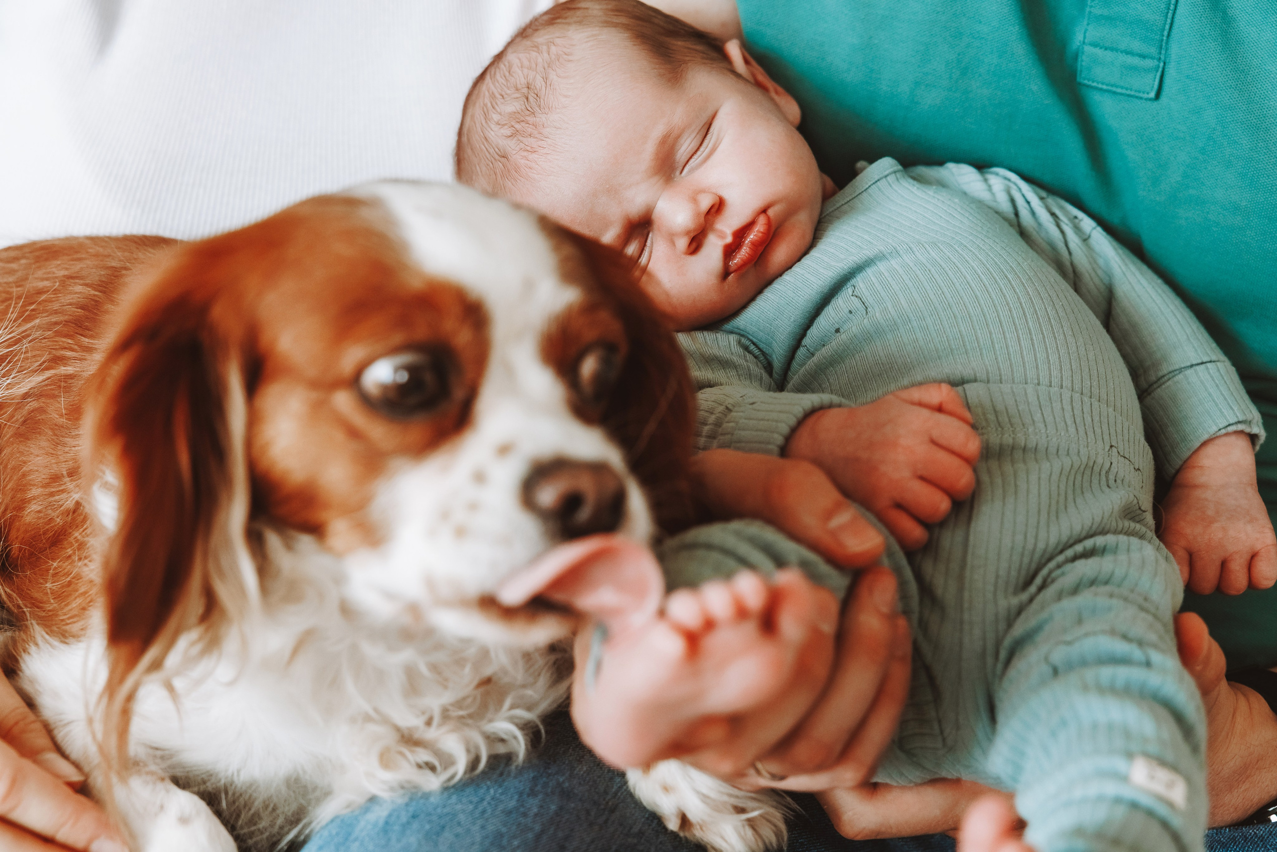 Фотосесия за новородено. Фотограф Ирина Йотова