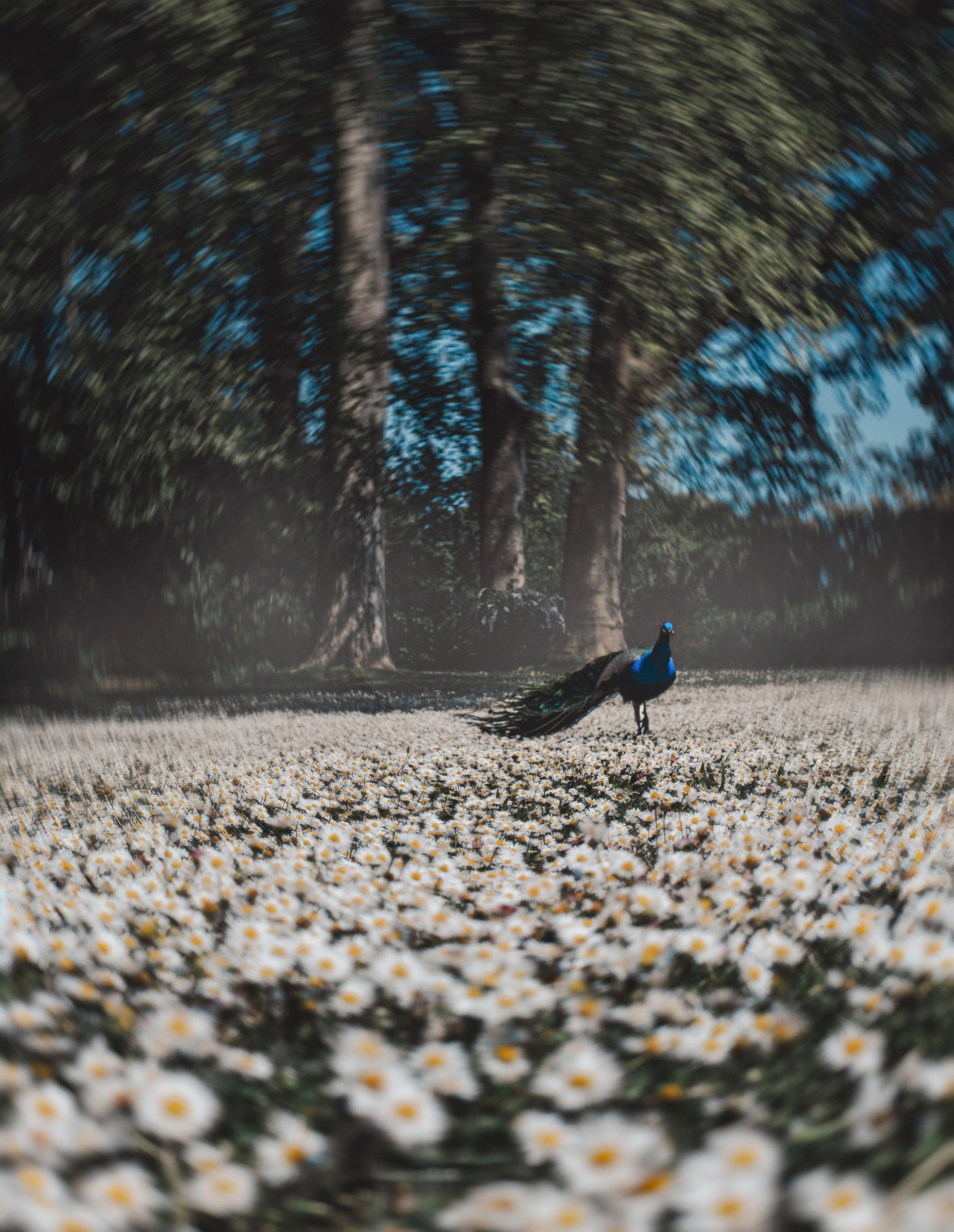 Франция. Анастасия Благова — Твой фотограф в Малаге 🇪🇸