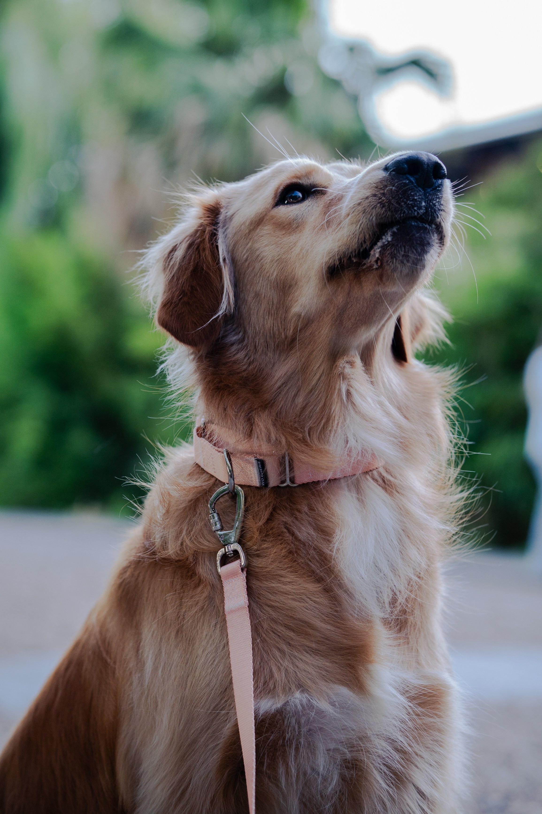 Wo.cherie. Lisbon Event Photographer