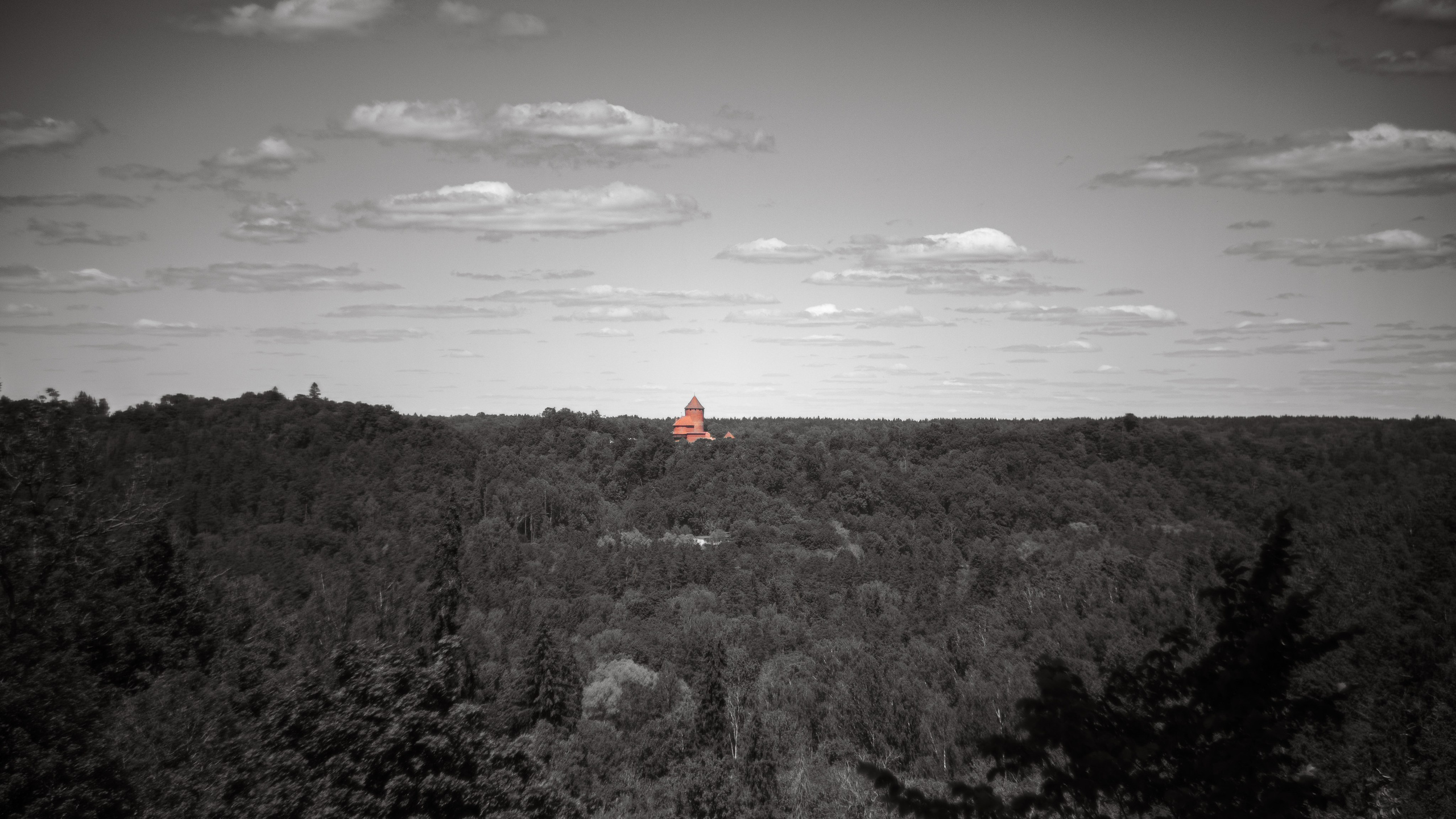 Dažādas fotogrāfijas. Sajūtu un mirkļu fotogrāfs no Rīgas, Mārtiņš Babris