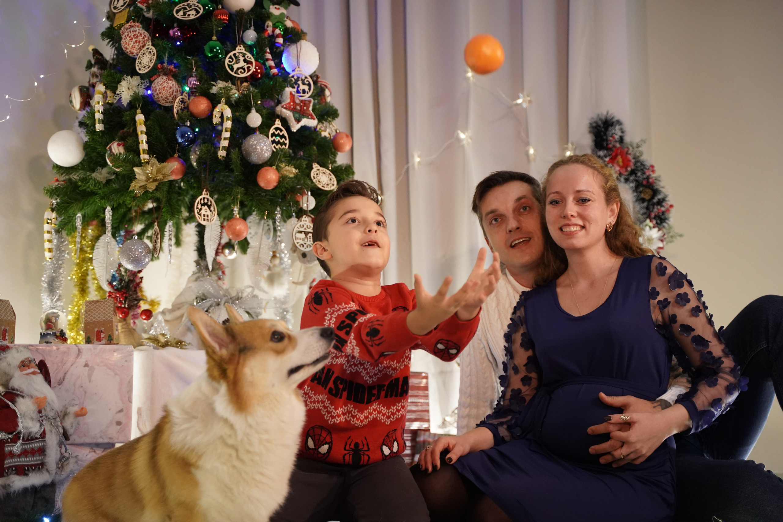 Волшебство под елкой. Фотограф. Визуал. Хайфа. Талья Цветкова