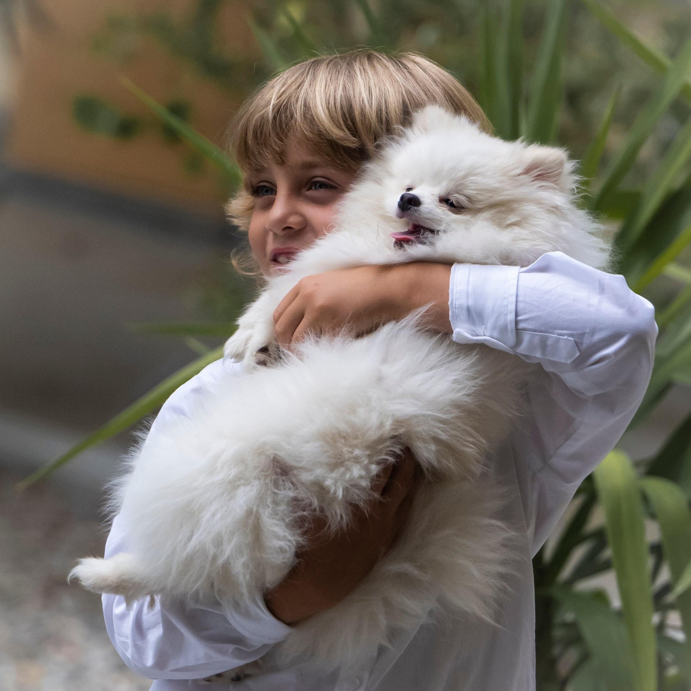 Matrimonio in Villa d’Epoca. “Gianmaria Coscia fotografo per passione”