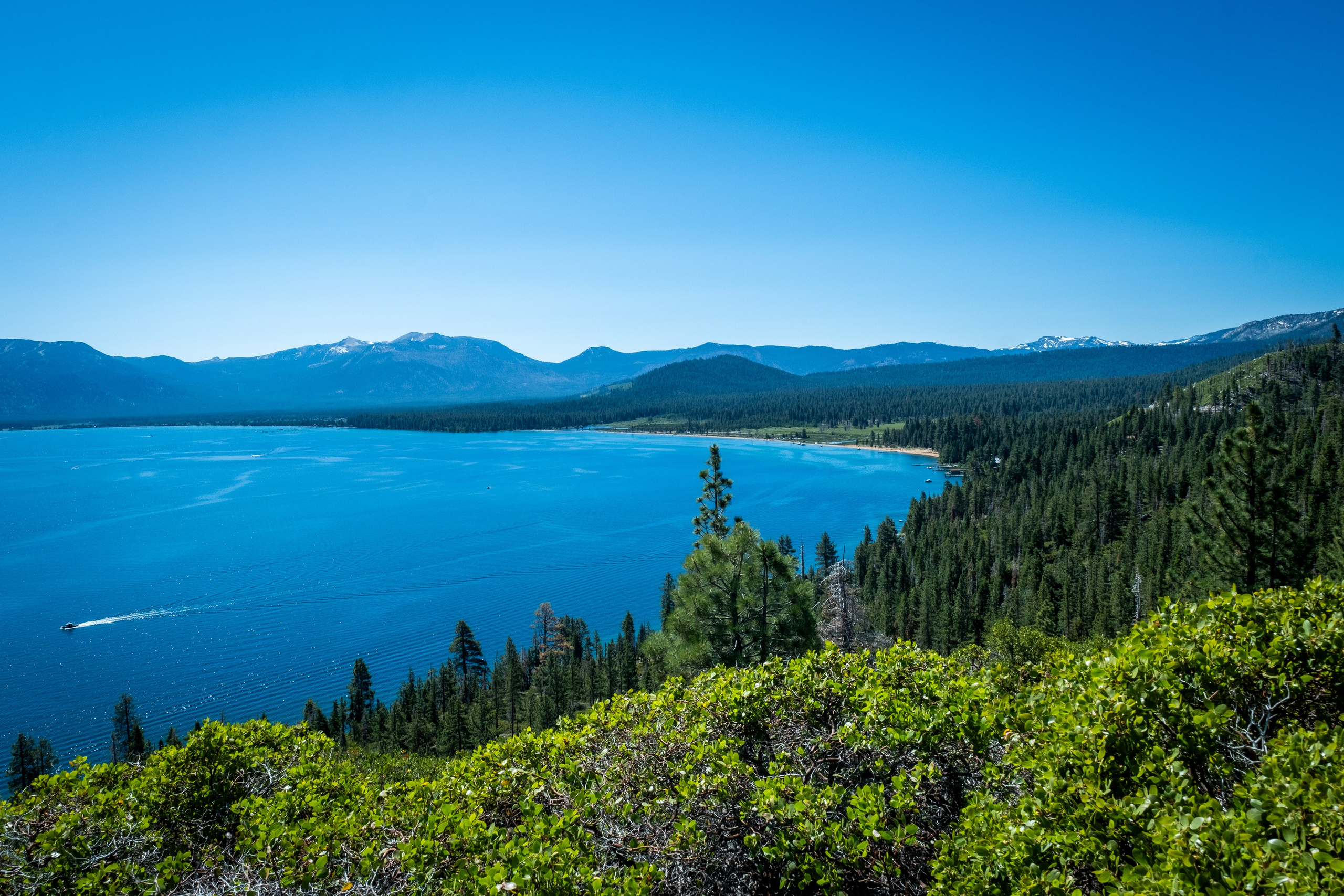 TAHOE. Reportage concert portrait photography in the San Francisco Bay Area