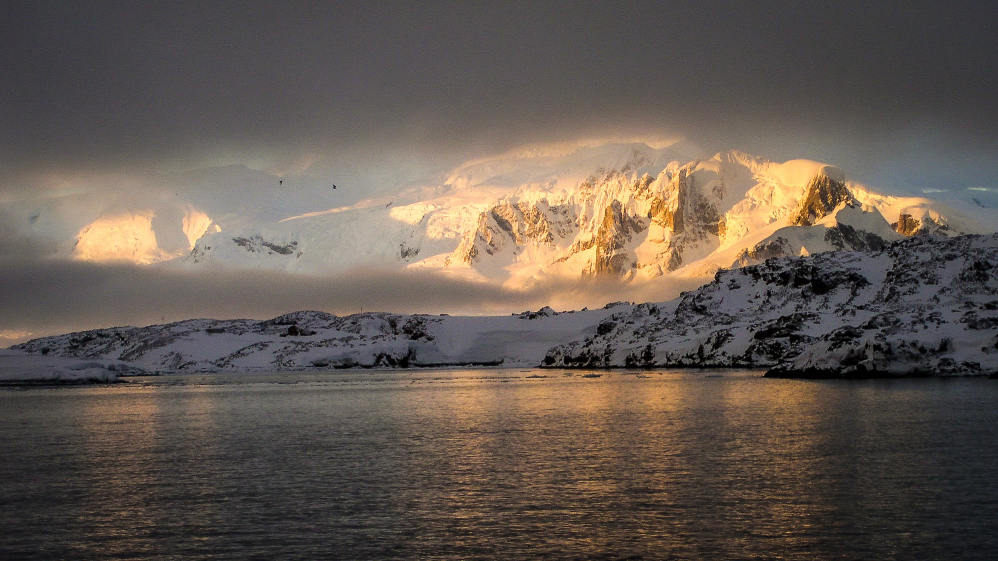 ANTARCTICA / 2004. Reportage concert portrait photography in the San Francisco Bay Area