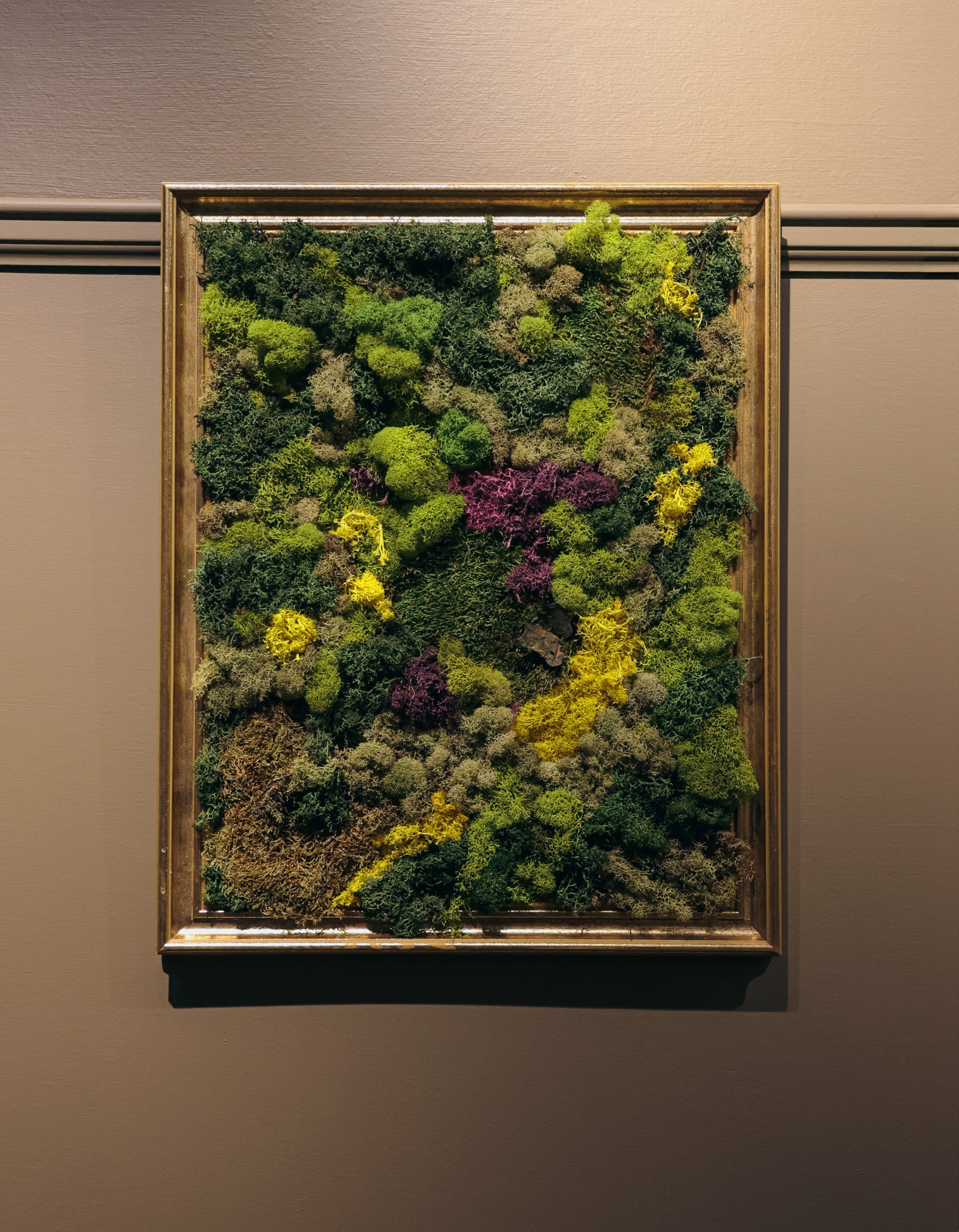 Anna & Moss magic, Content. Yana Bobrova | Artistic Photography