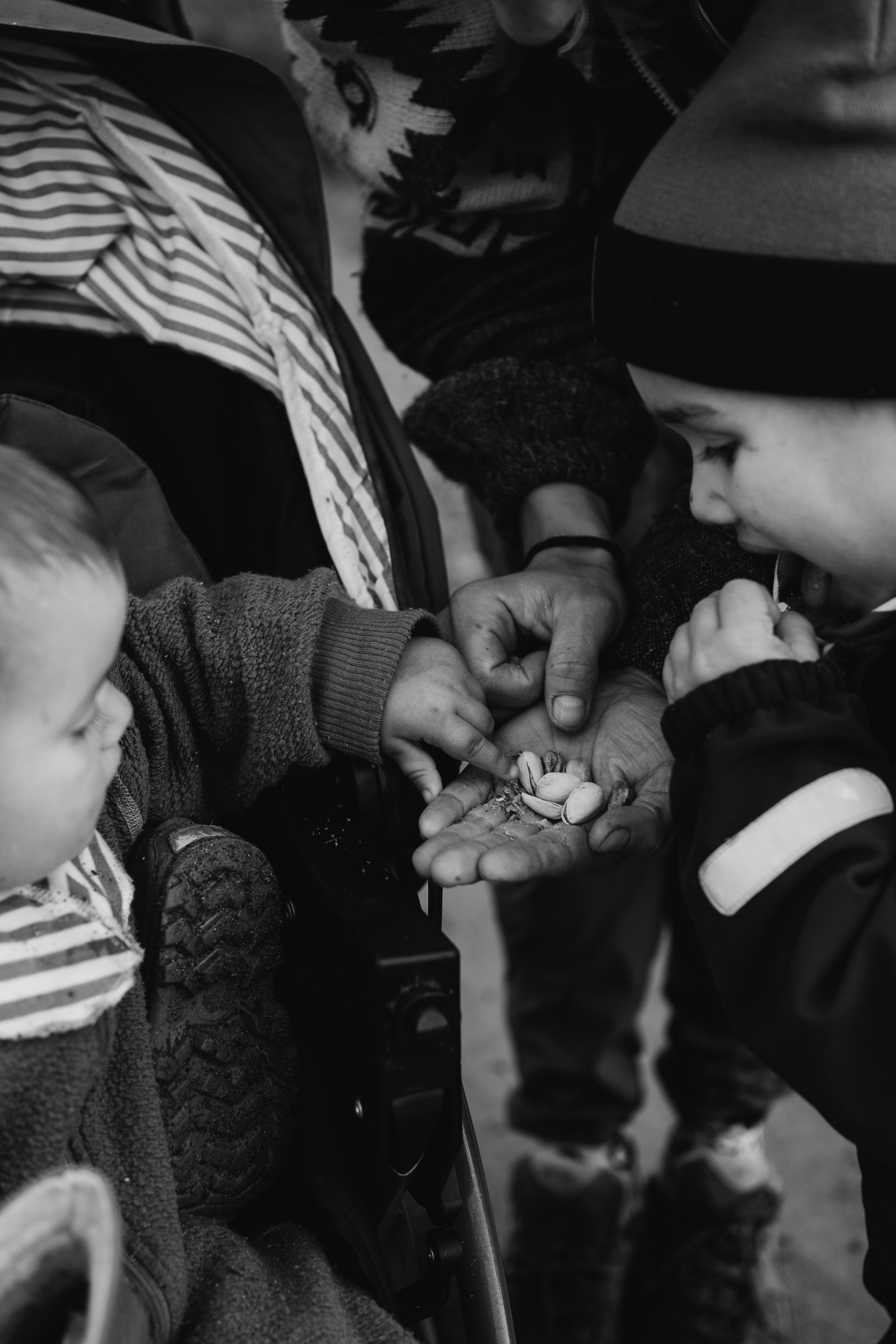 AGA´S AUTUMN. Photographer and videographer in Norway and Slovakia Andrea Zemko