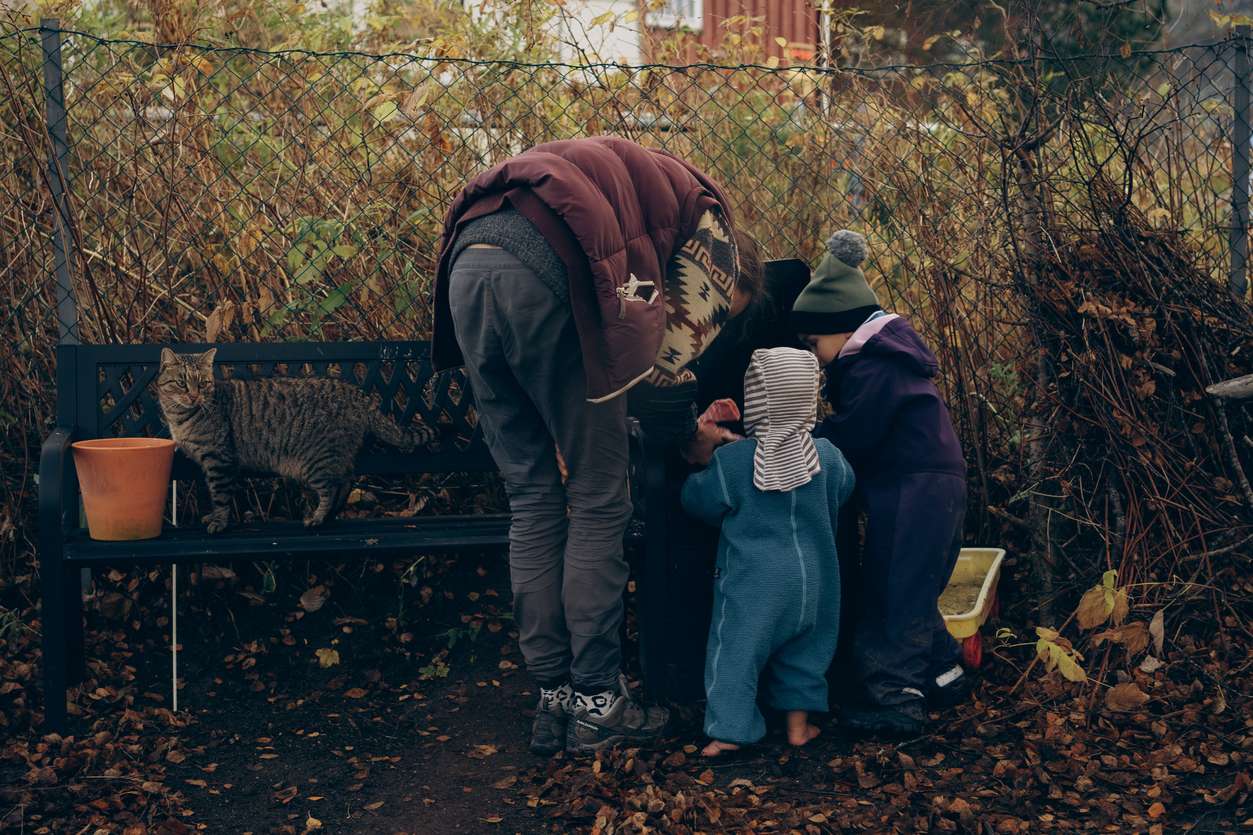 AGA´S AUTUMN. Photographer and videographer in Norway and Slovakia Andrea Zemko