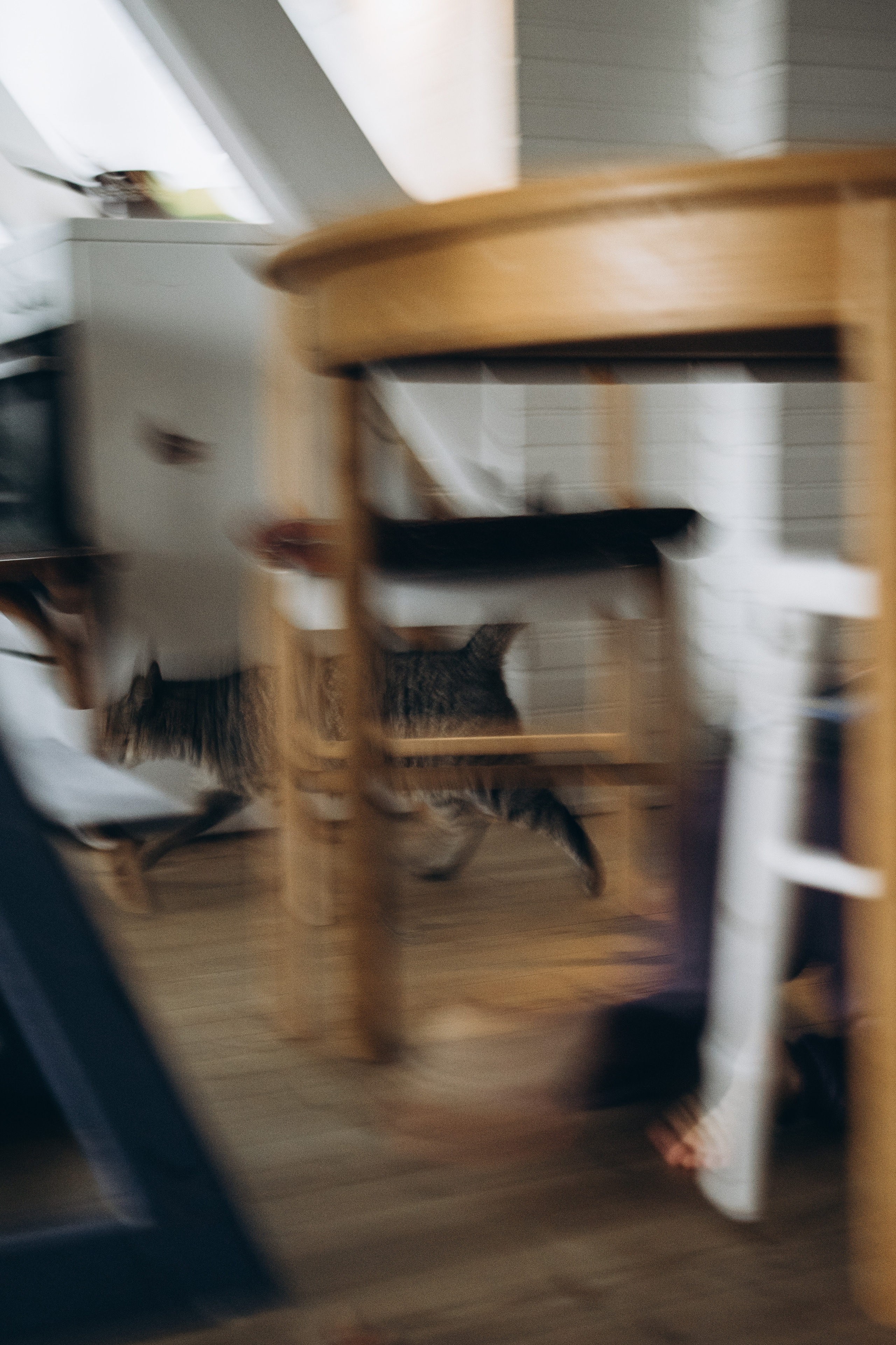 AGA´S AUTUMN. Photographer and videographer in Norway and Slovakia Andrea Zemko