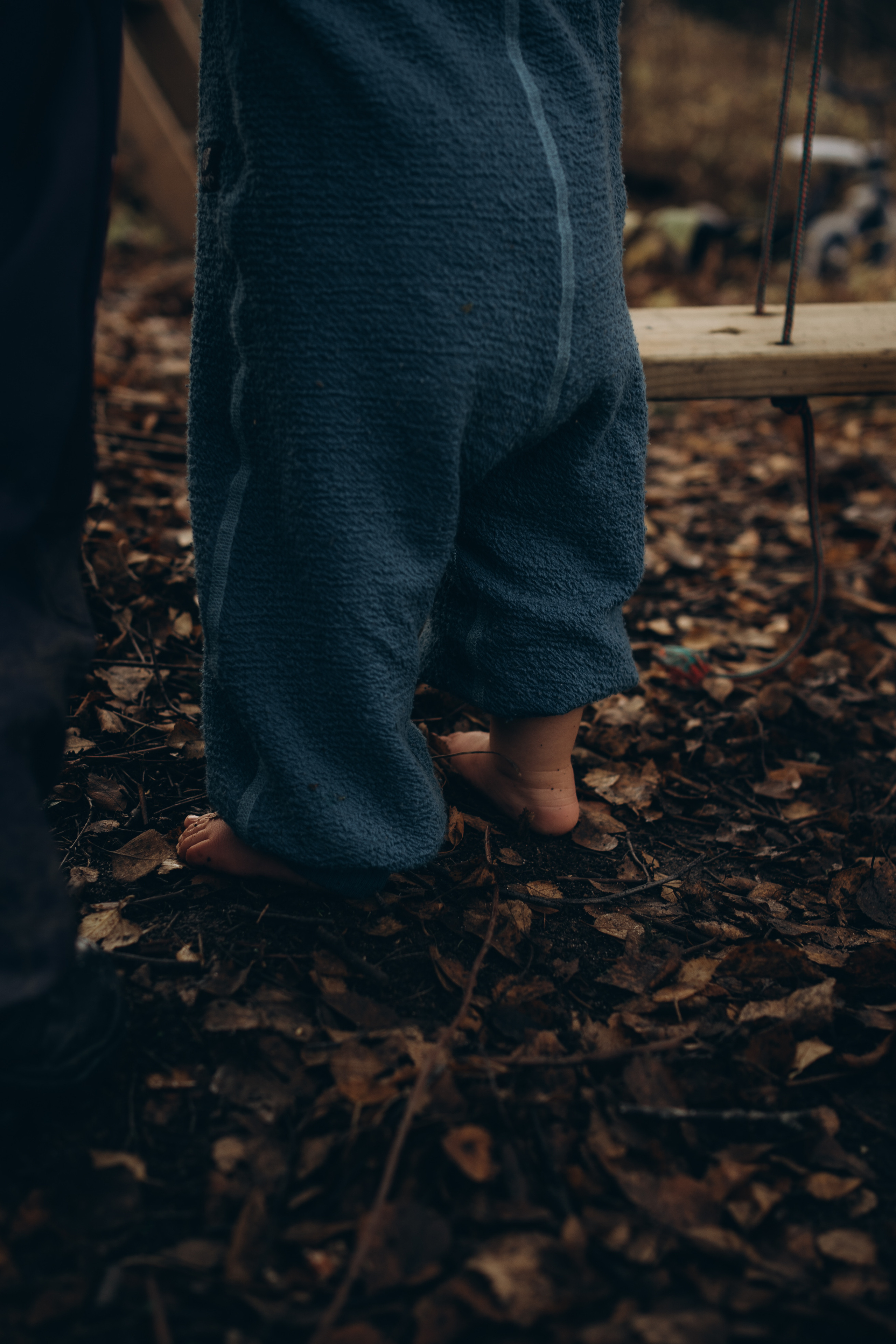 AGA´S AUTUMN. Photographer and videographer in Norway and Slovakia Andrea Zemko