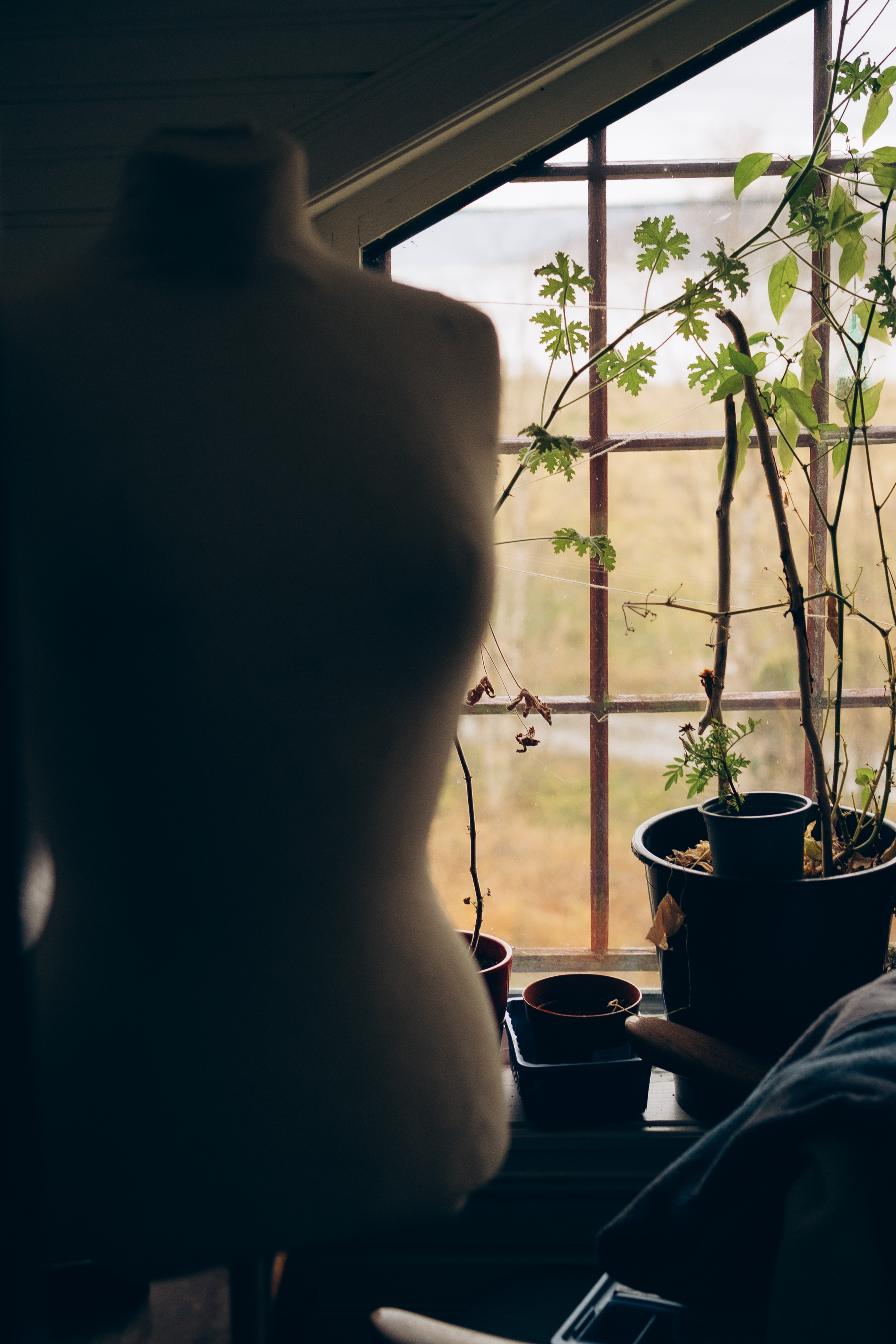 AGA´S AUTUMN. Photographer and videographer in Norway and Slovakia Andrea Zemko