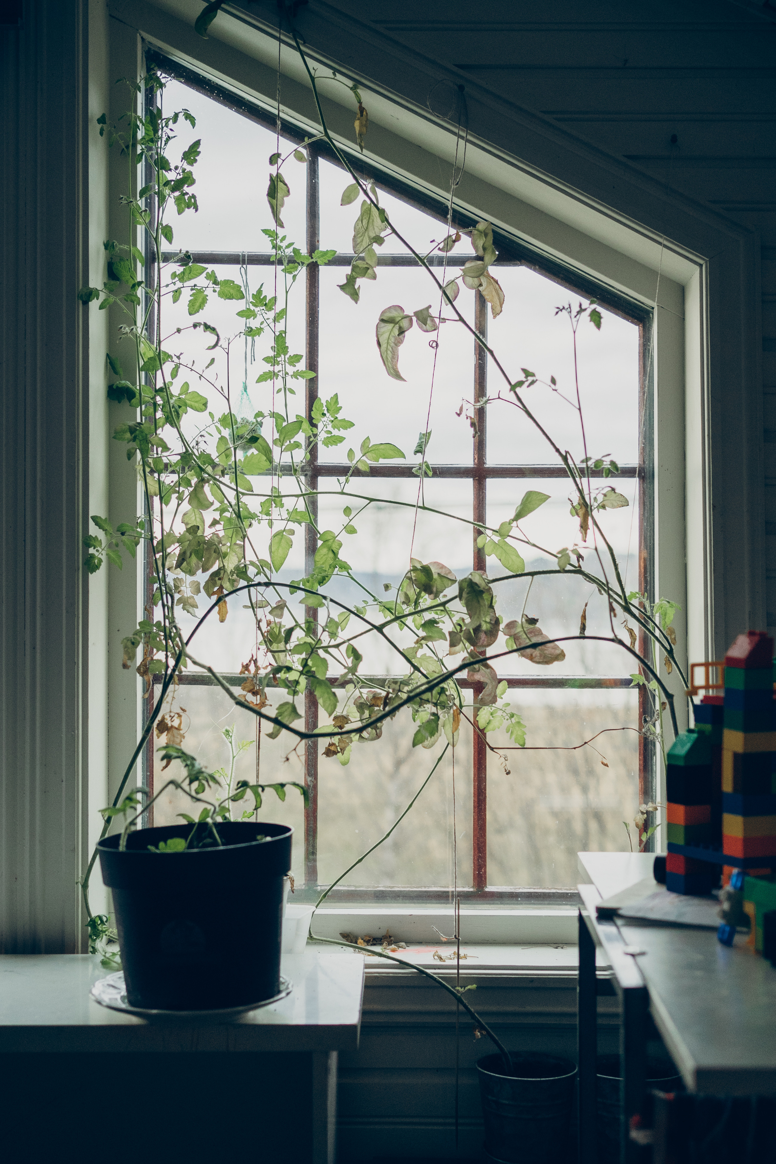 AGA´S AUTUMN. Photographer and videographer in Norway and Slovakia Andrea Zemko