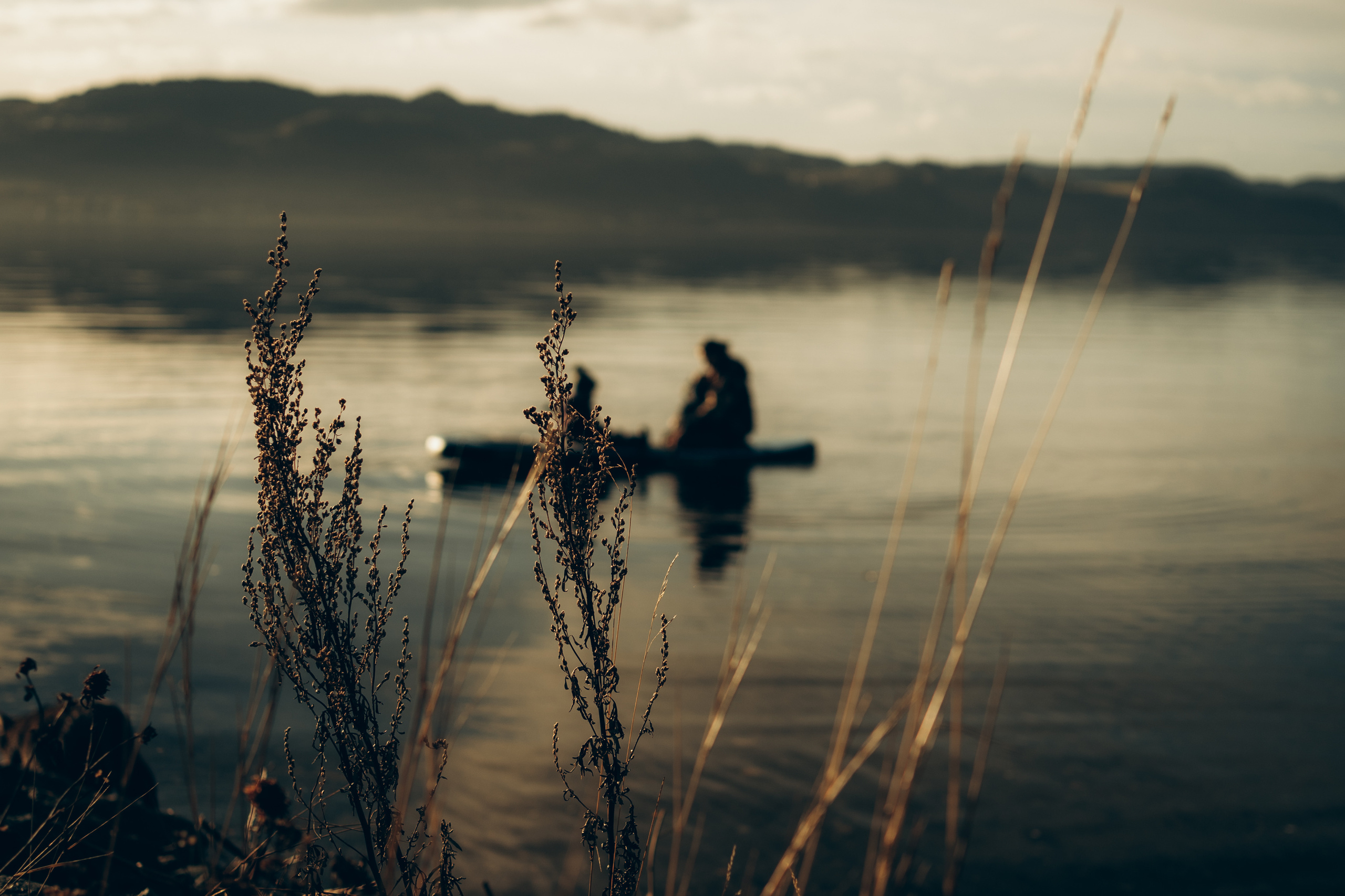 AGA´S AUTUMN. Photographer and videographer in Norway and Slovakia Andrea Zemko