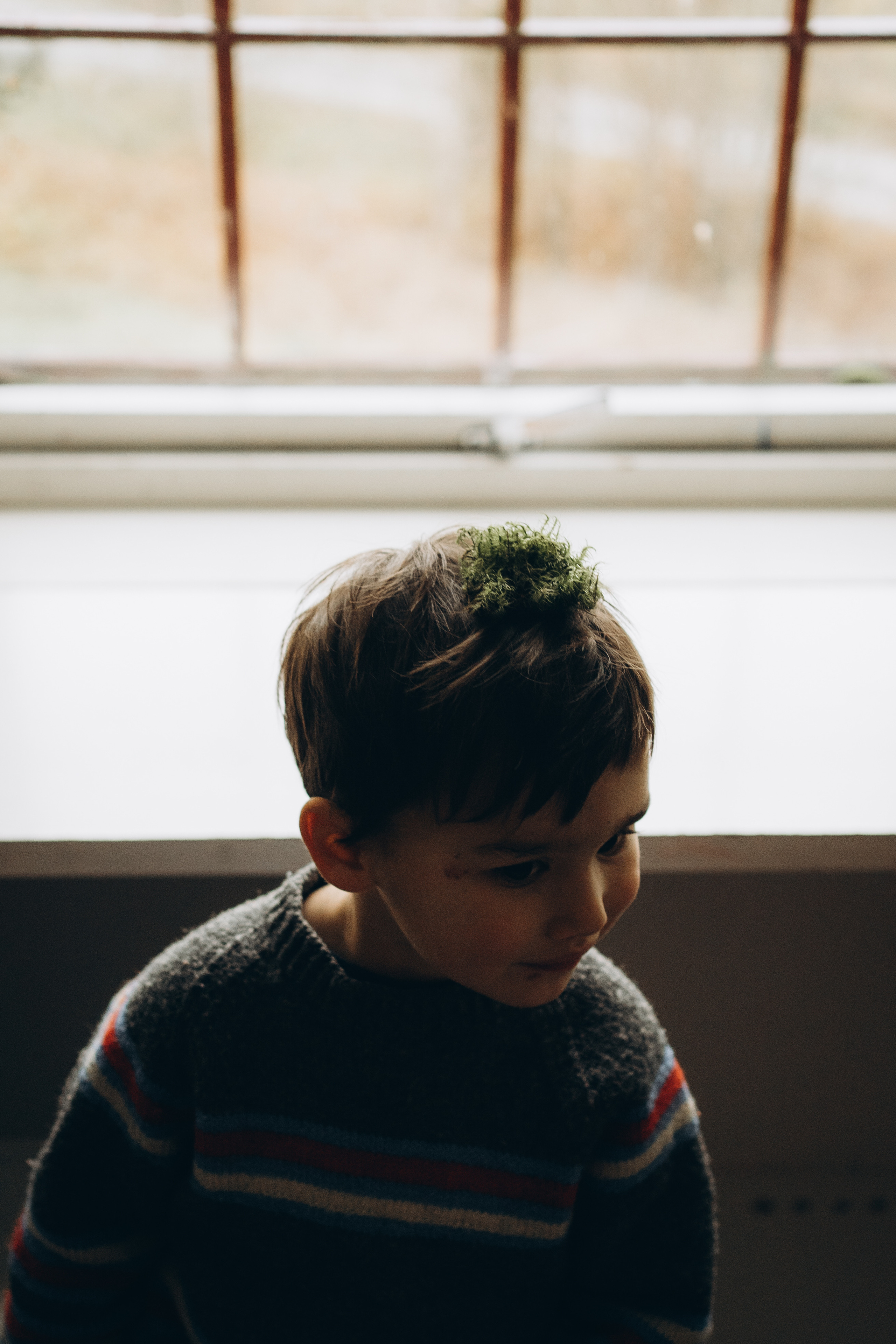 AGA´S AUTUMN. Photographer and videographer in Norway and Slovakia Andrea Zemko