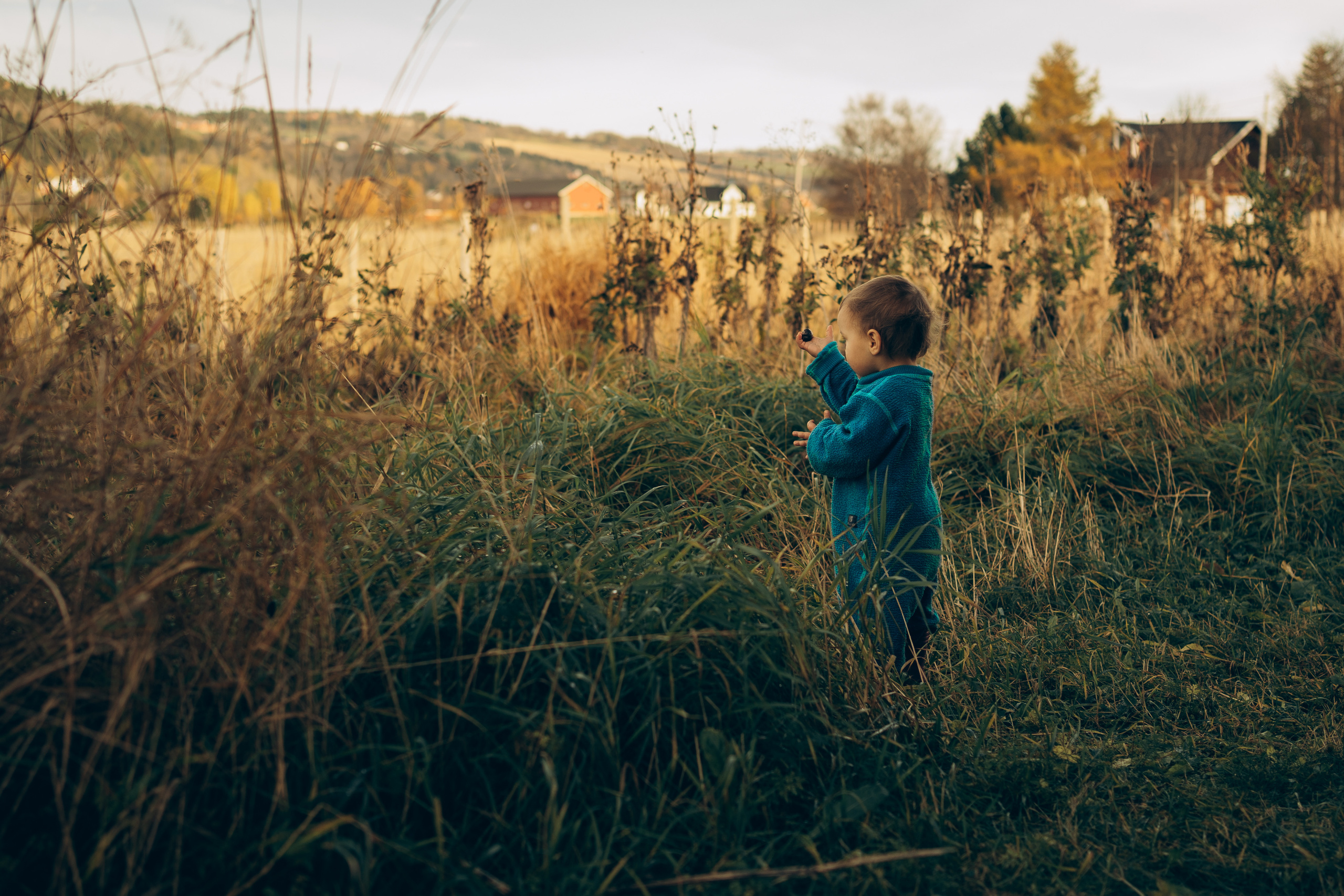 AGA´S AUTUMN. Photographer and videographer in Norway and Slovakia Andrea Zemko