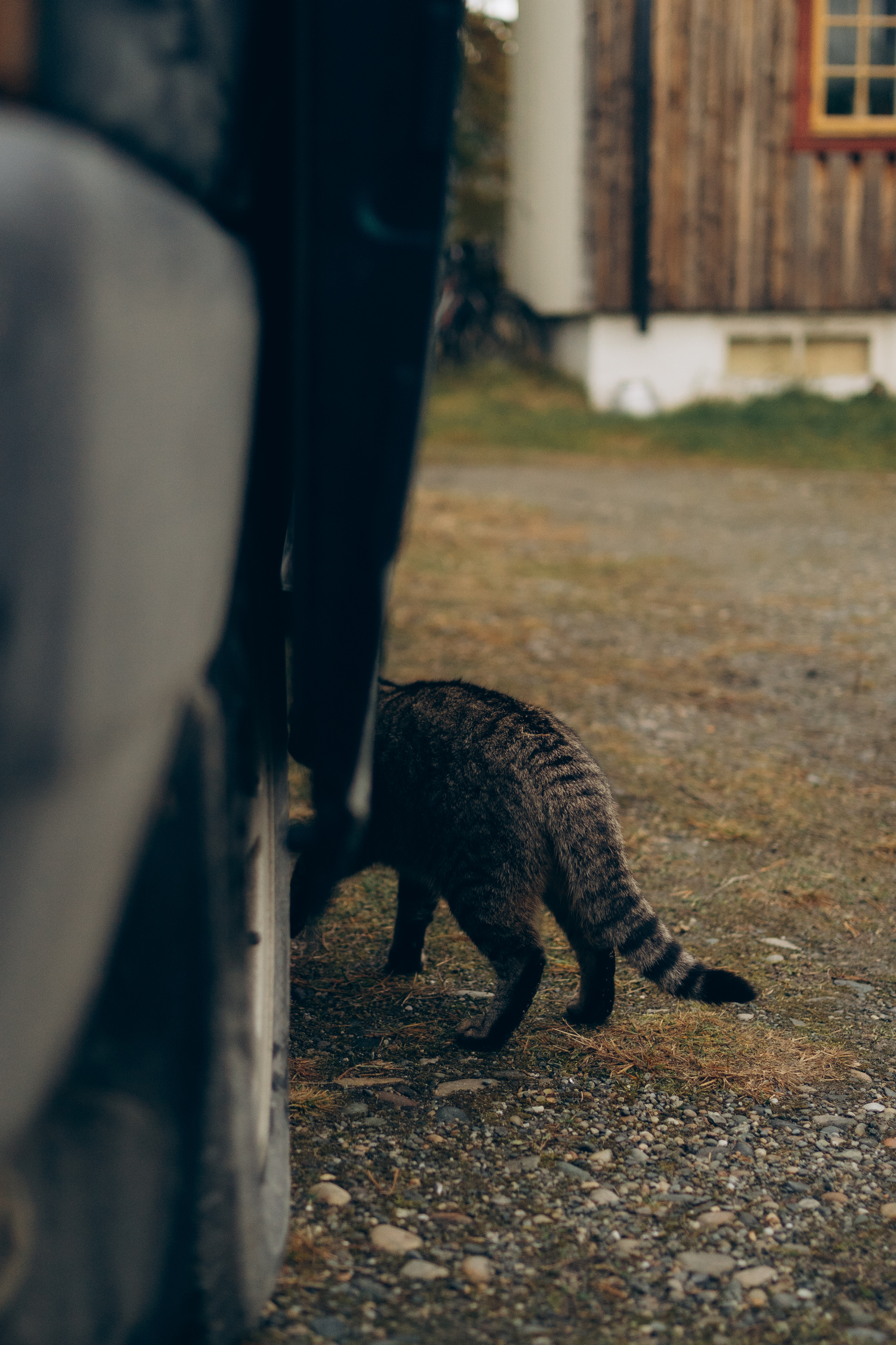 AGA´S AUTUMN. Photographer and videographer in Norway and Slovakia Andrea Zemko