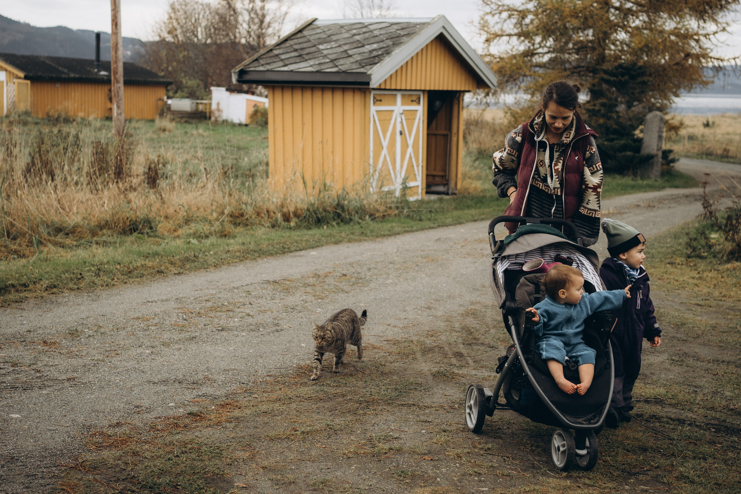 AGA´S AUTUMN. Photographer and videographer in Norway and Slovakia Andrea Zemko