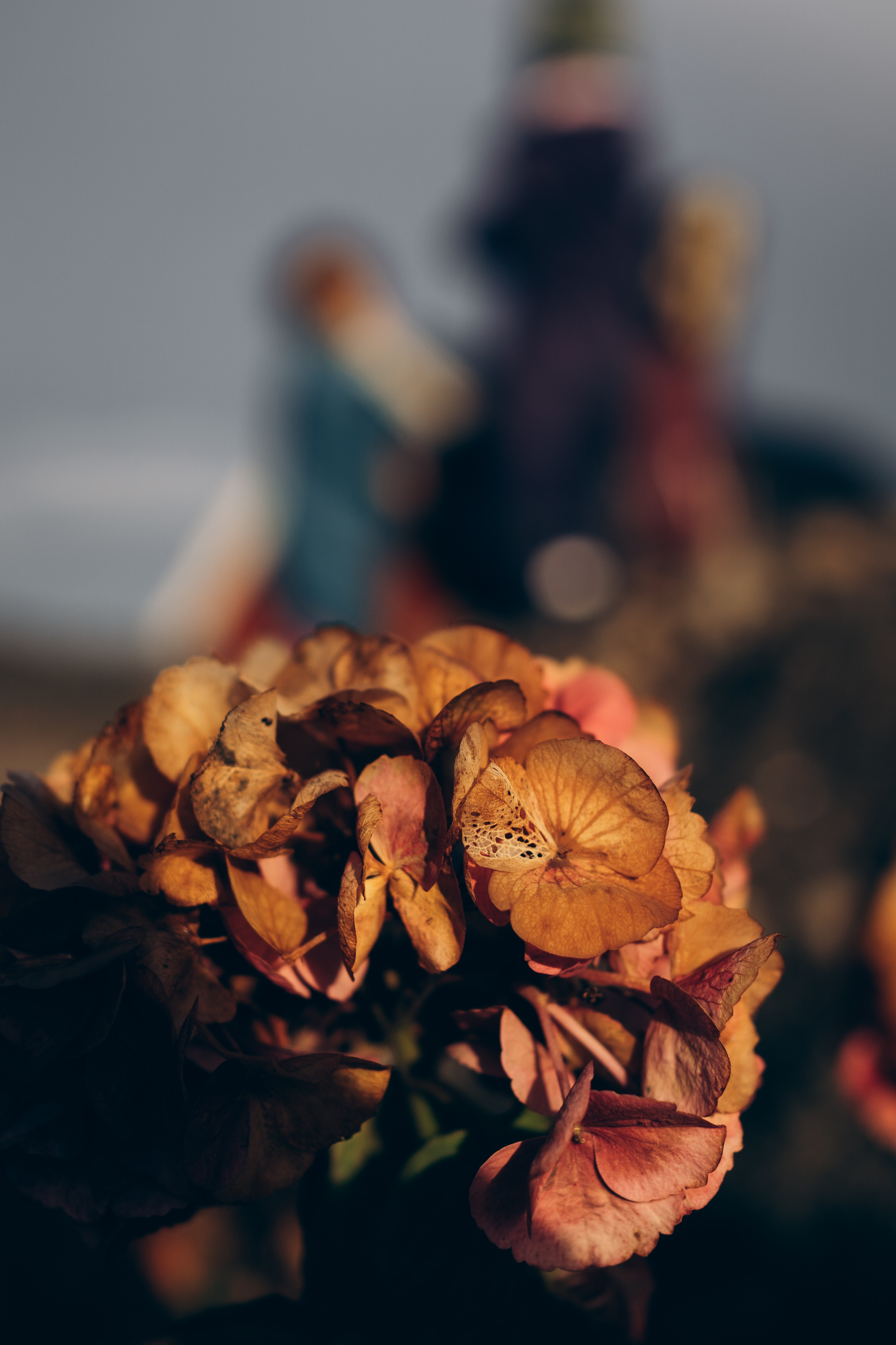 AGA´S AUTUMN. Photographer and videographer in Norway and Slovakia Andrea Zemko