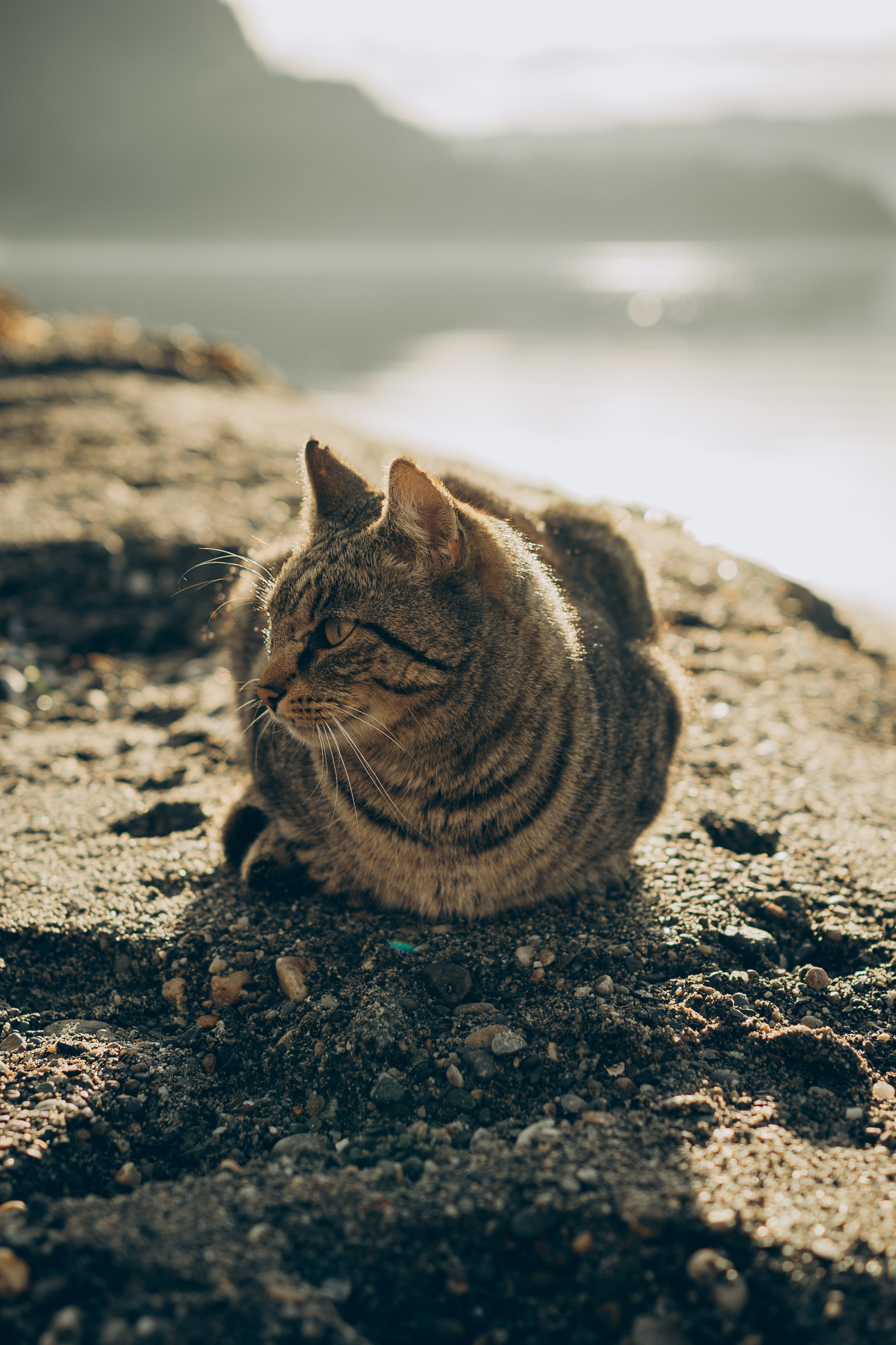 AGA´S AUTUMN. Photographer and videographer in Norway and Slovakia Andrea Zemko