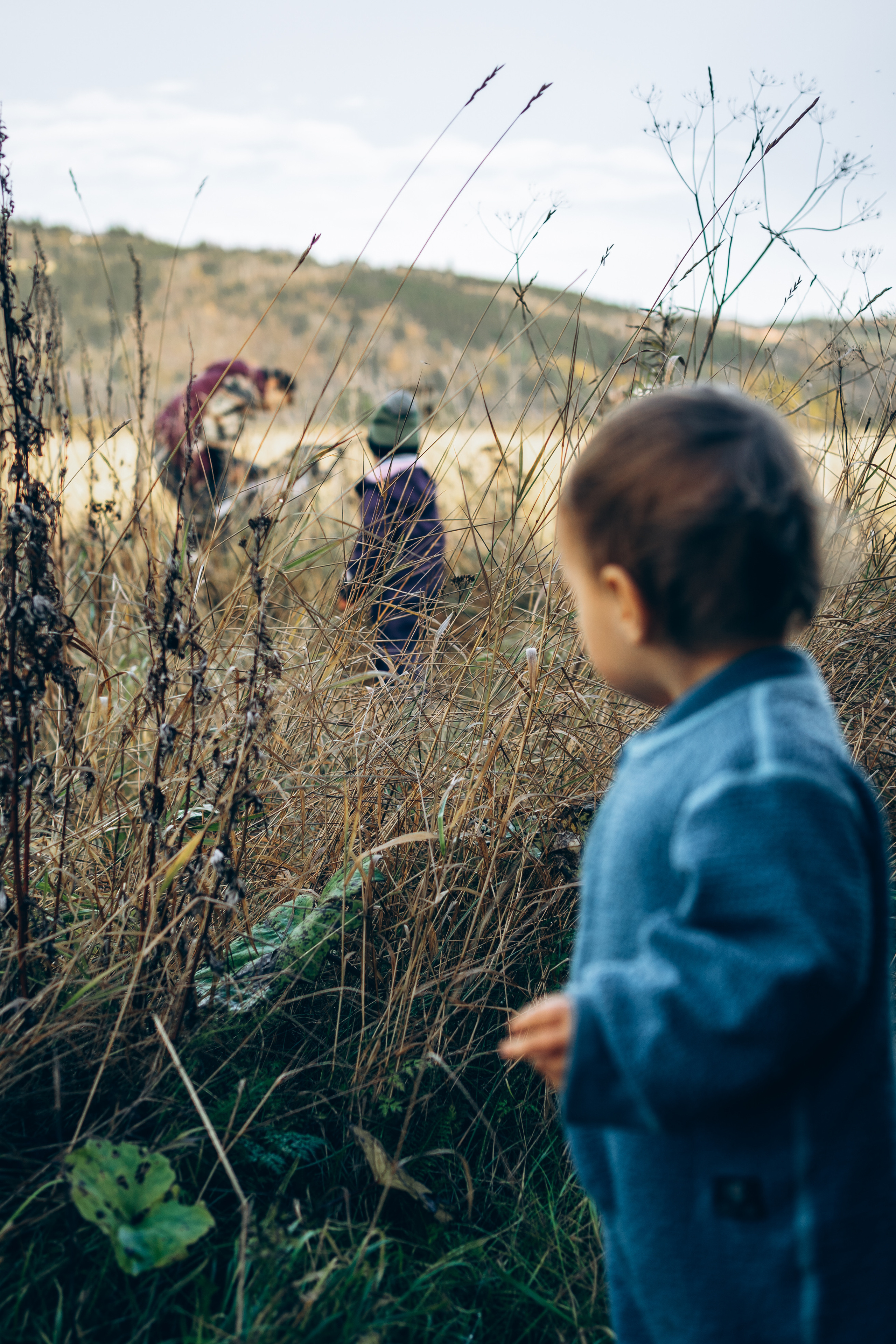 AGA´S AUTUMN. Photographer and videographer in Norway and Slovakia Andrea Zemko