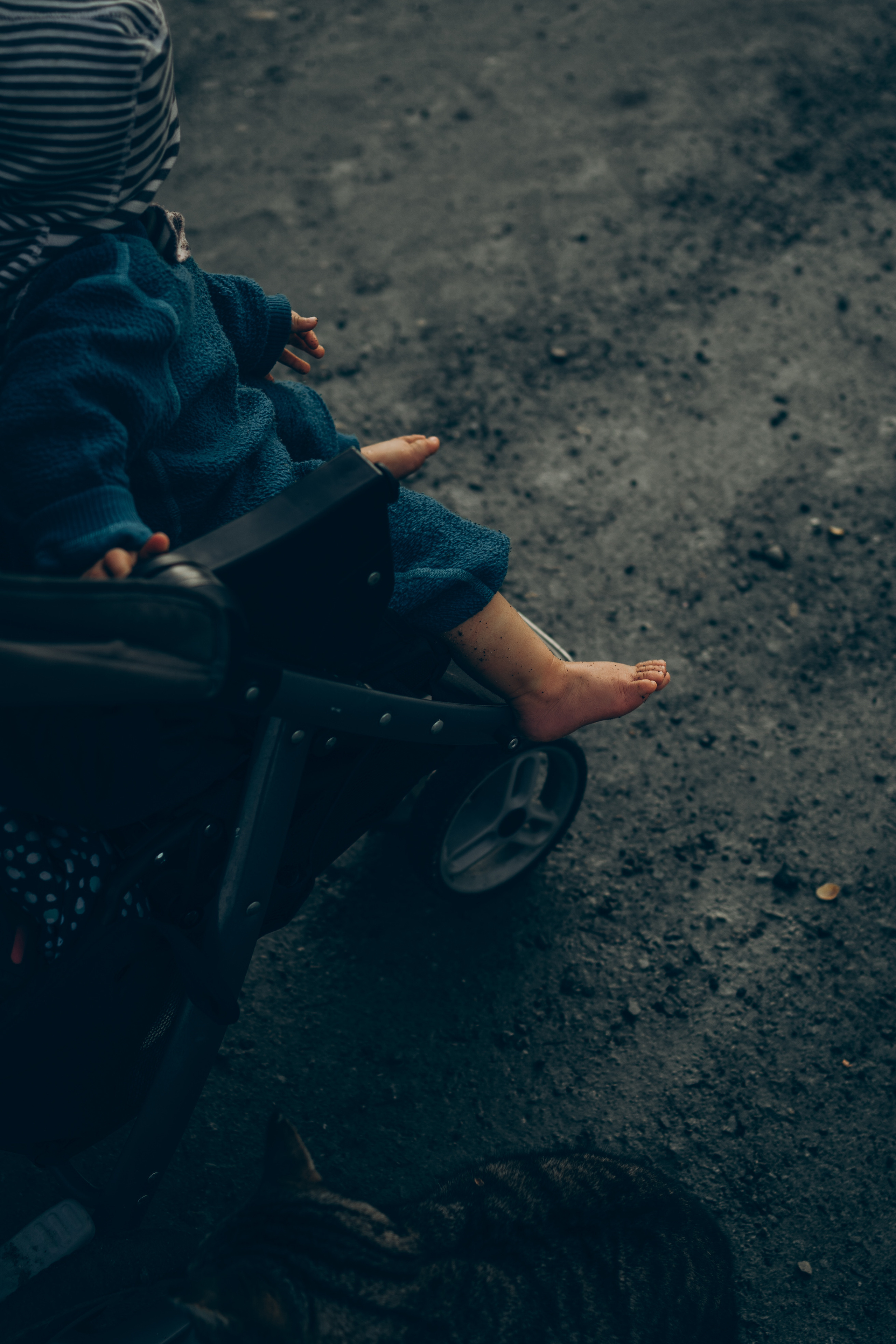 AGA´S AUTUMN. Photographer and videographer in Norway and Slovakia Andrea Zemko