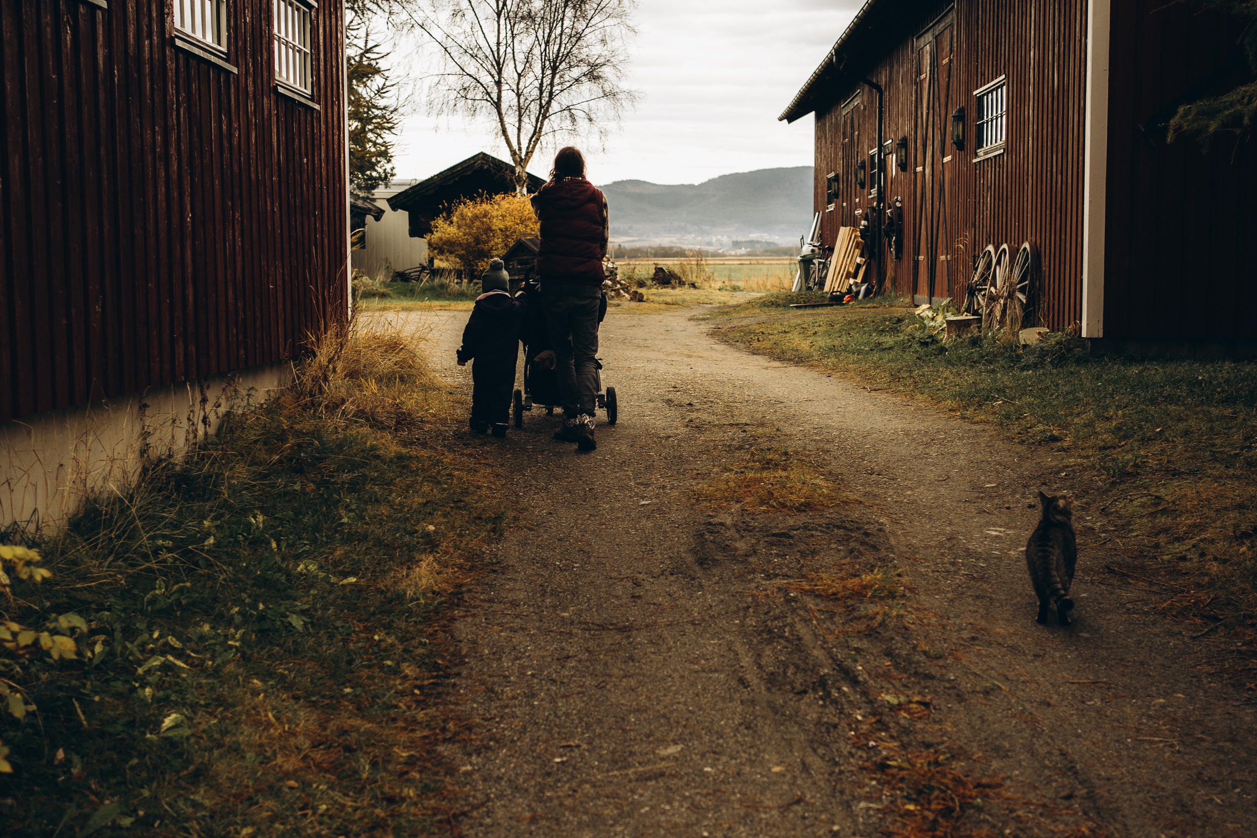 AGA´S AUTUMN. Photographer and videographer in Norway and Slovakia Andrea Zemko