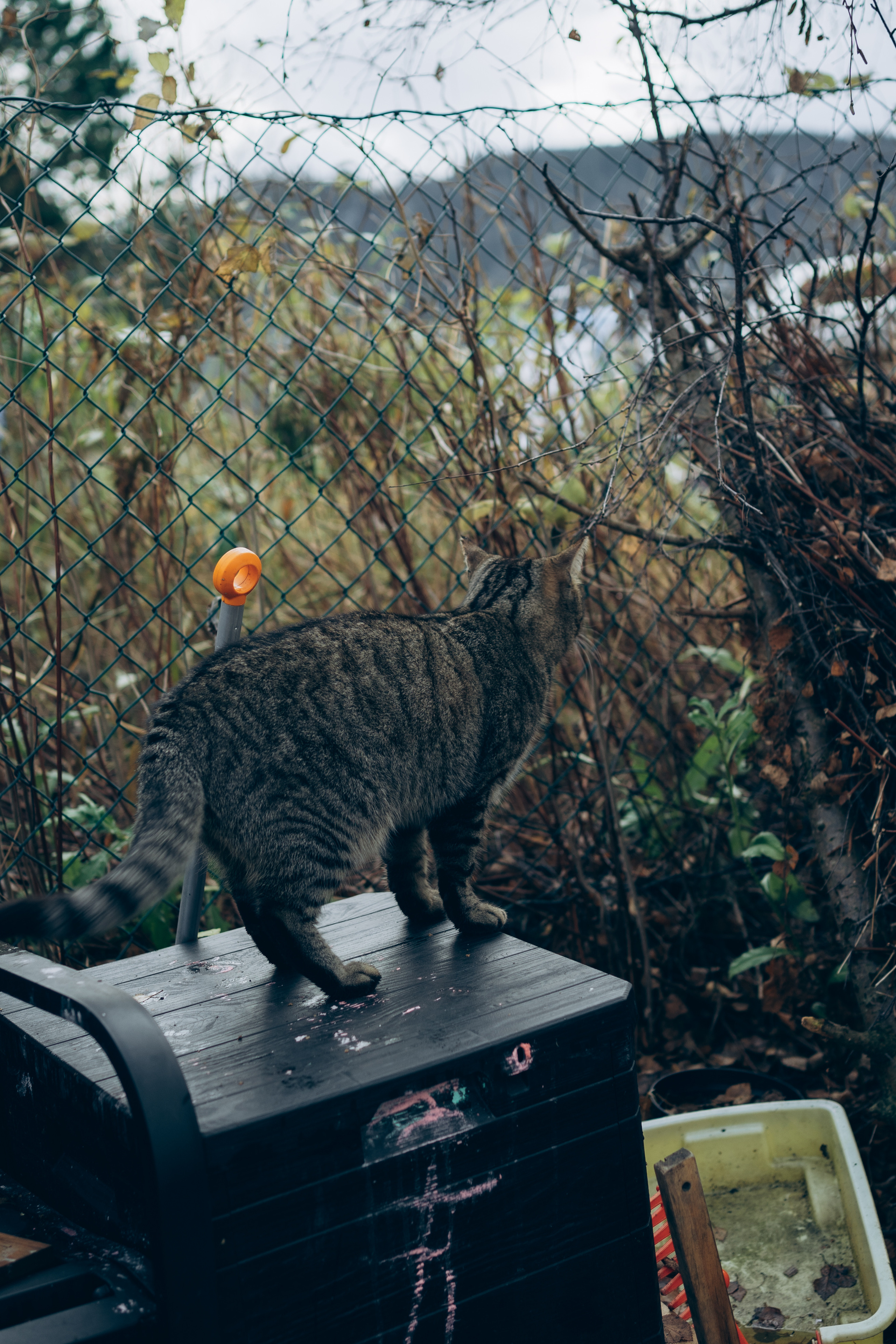 AGA´S AUTUMN. Photographer and videographer in Norway and Slovakia Andrea Zemko