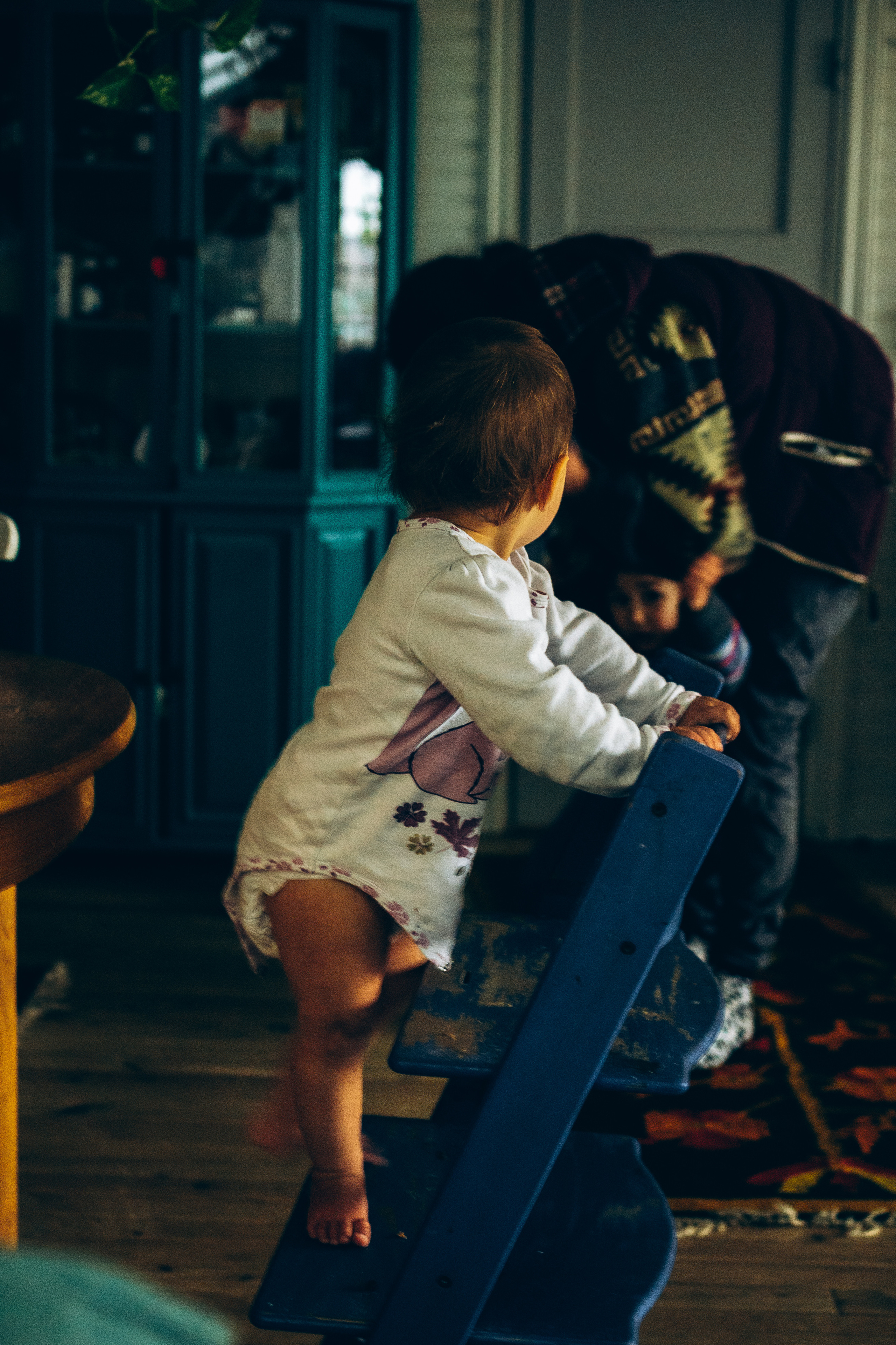 AGA´S AUTUMN. Photographer and videographer in Norway and Slovakia Andrea Zemko