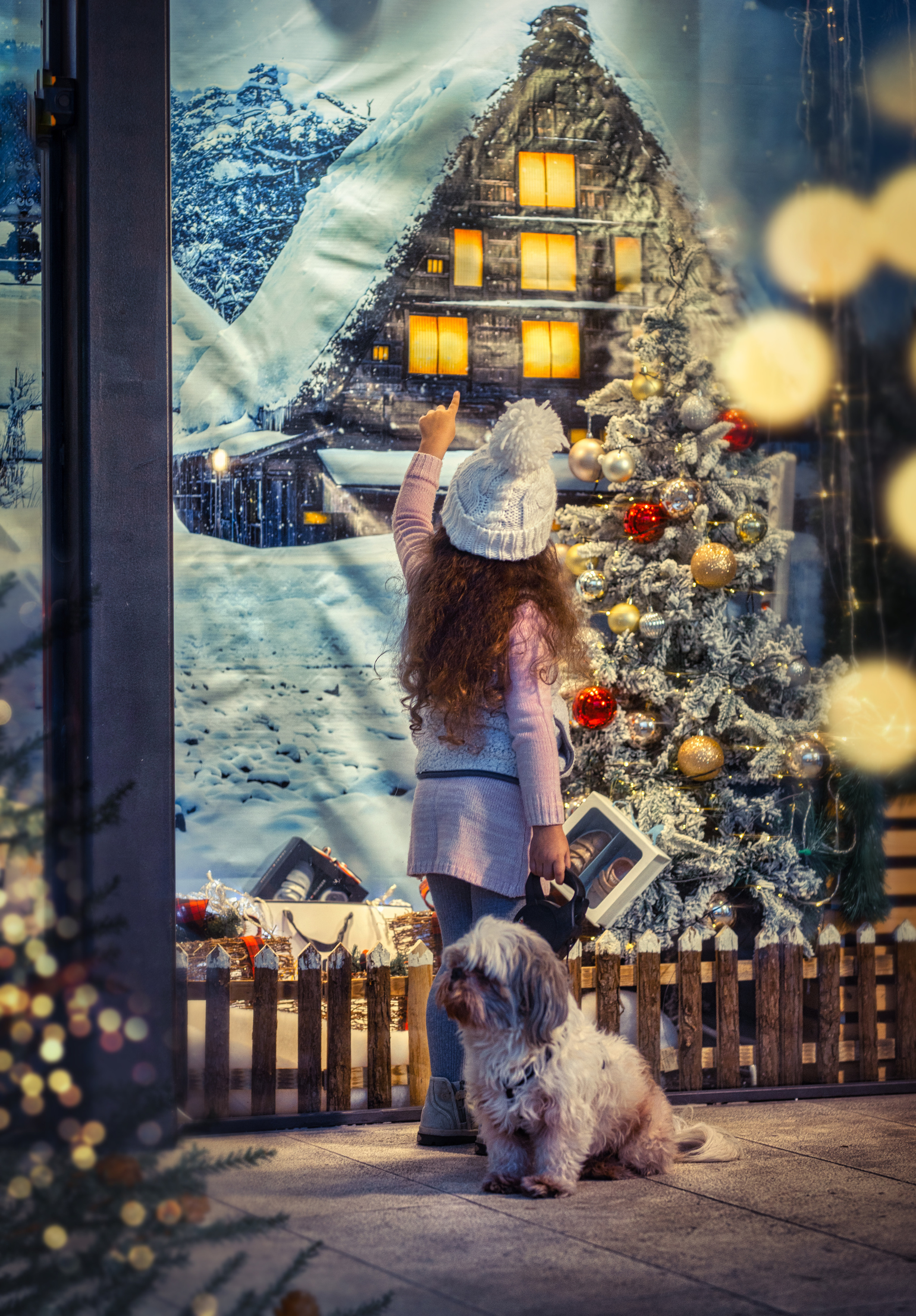 Christmas Photography. Professional photographer Serbia