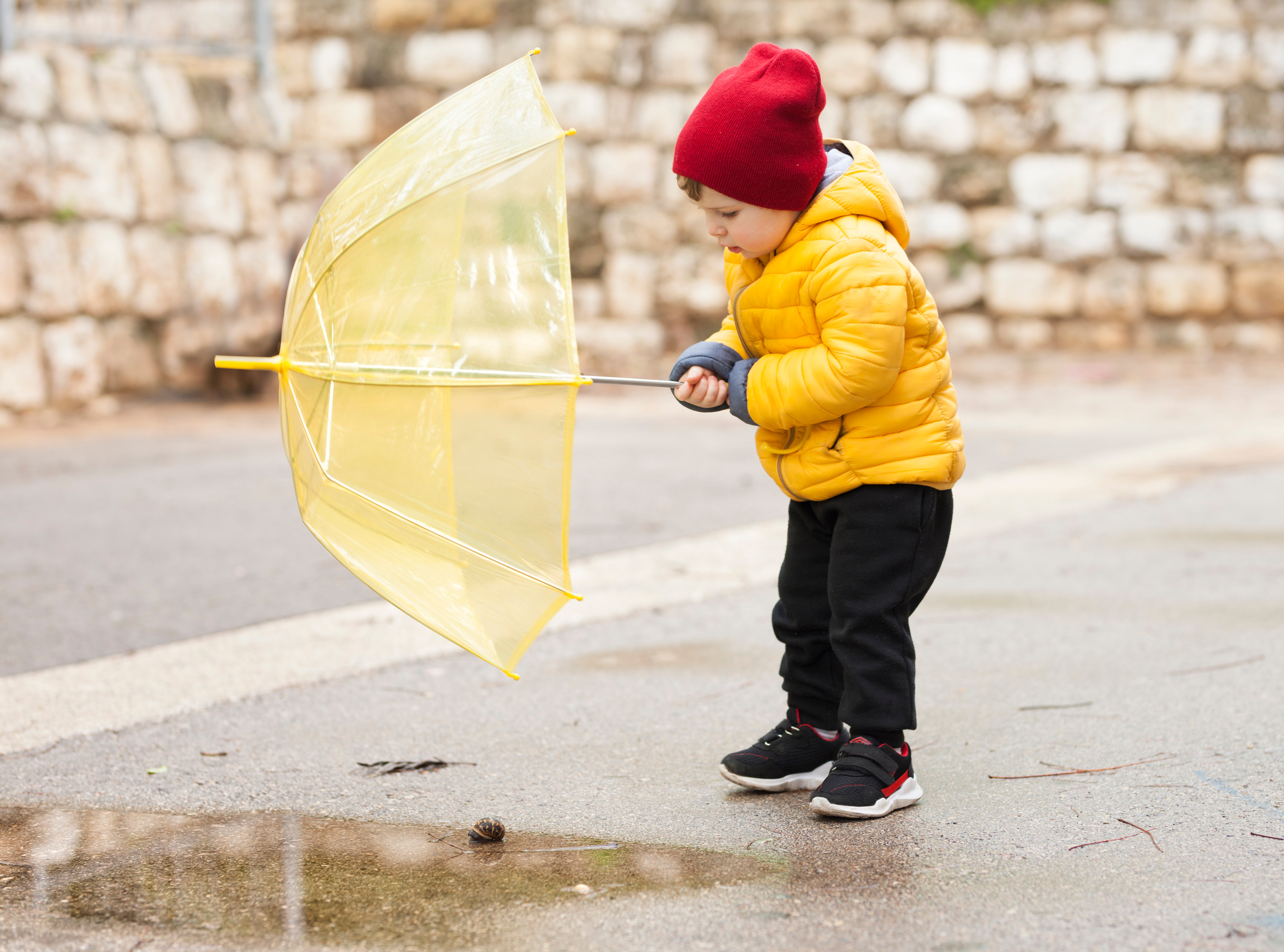Children Photography. Professional photographer Serbia