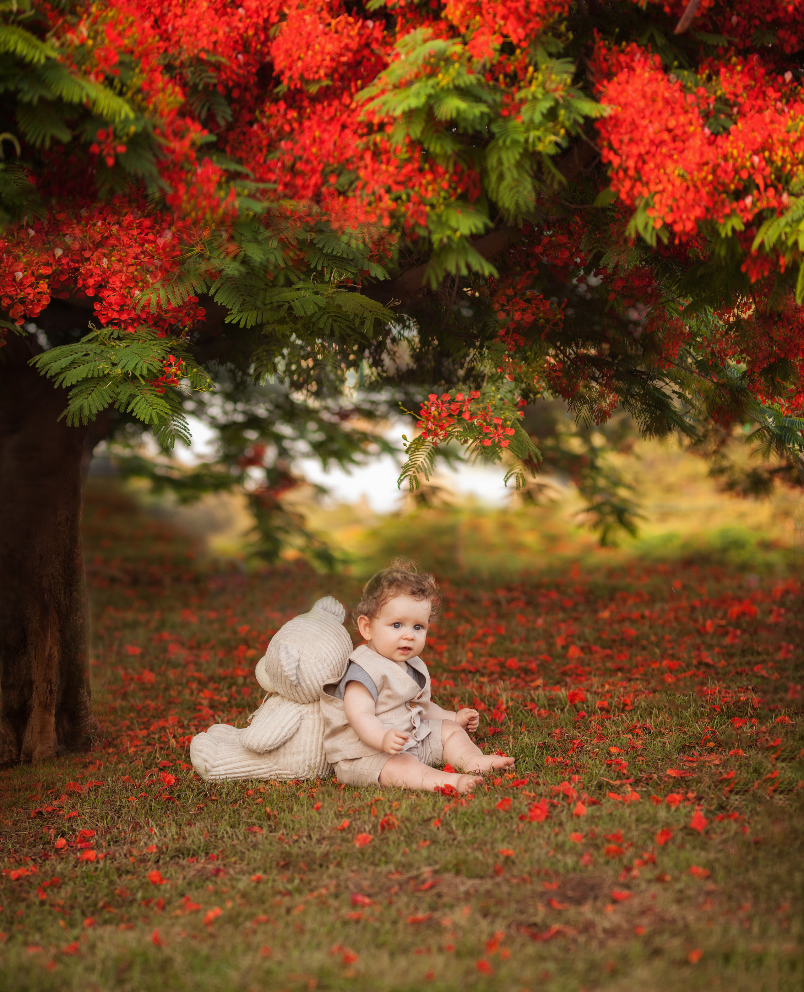 Children Photography. Professional photographer Serbia