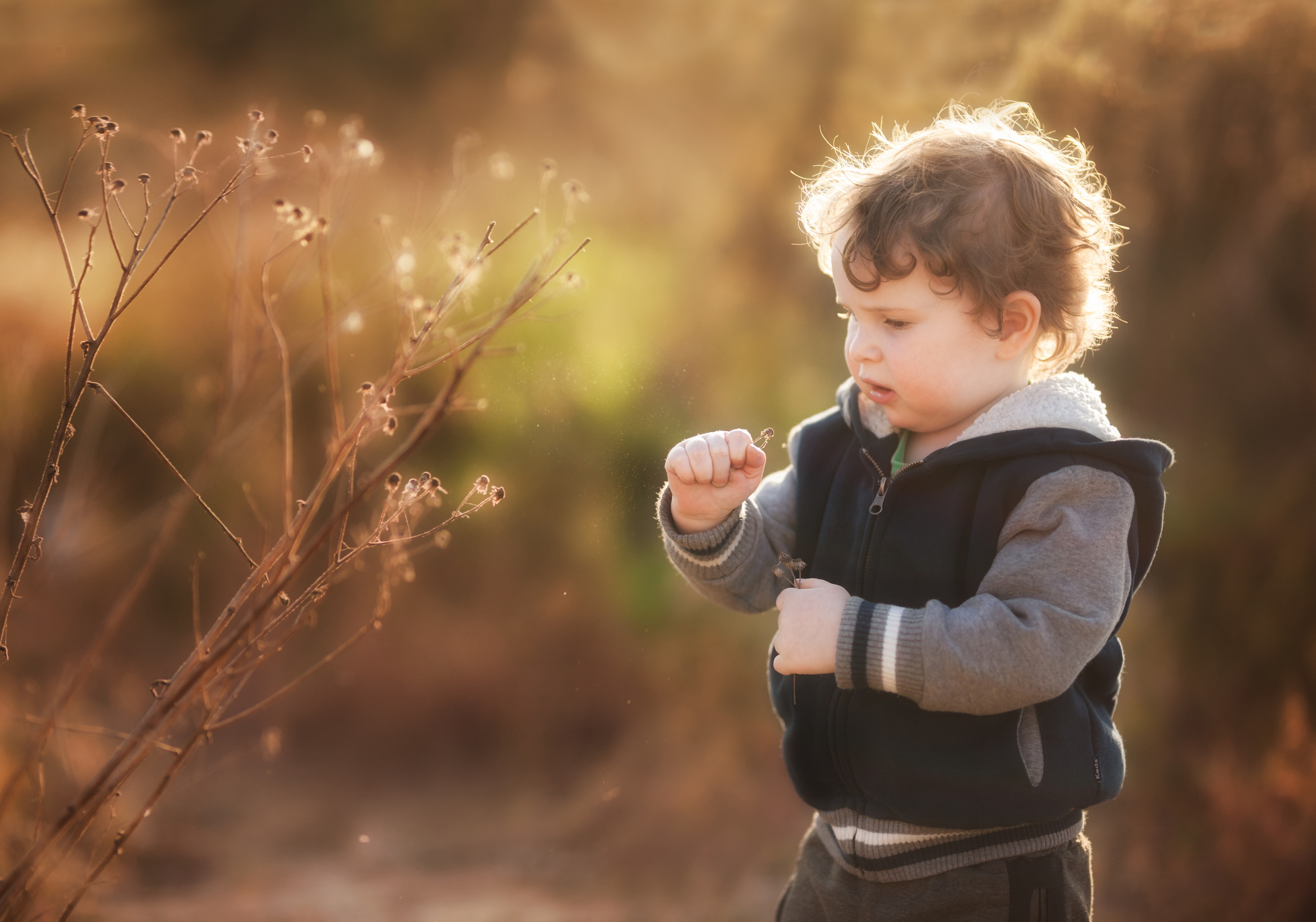 Children Photography. Professional photographer Serbia