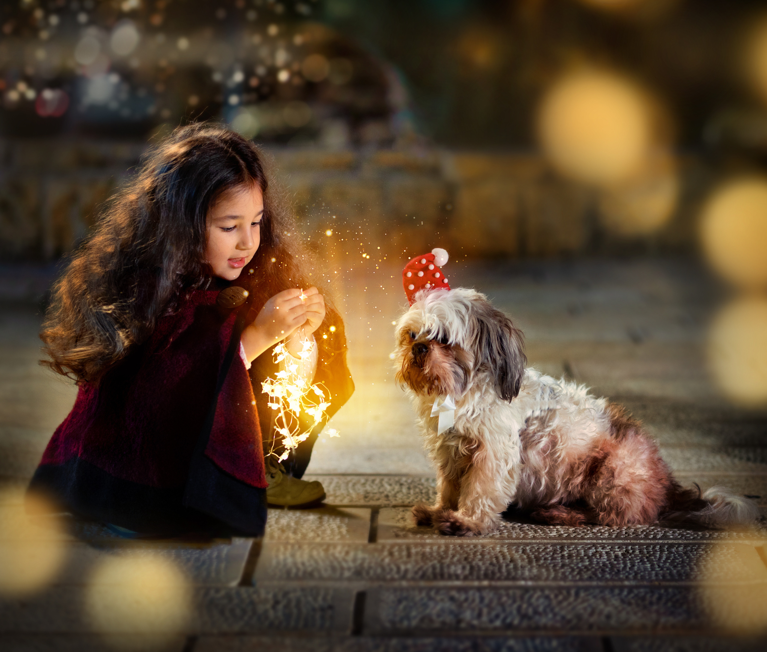 Christmas Photography. Professional photographer Serbia