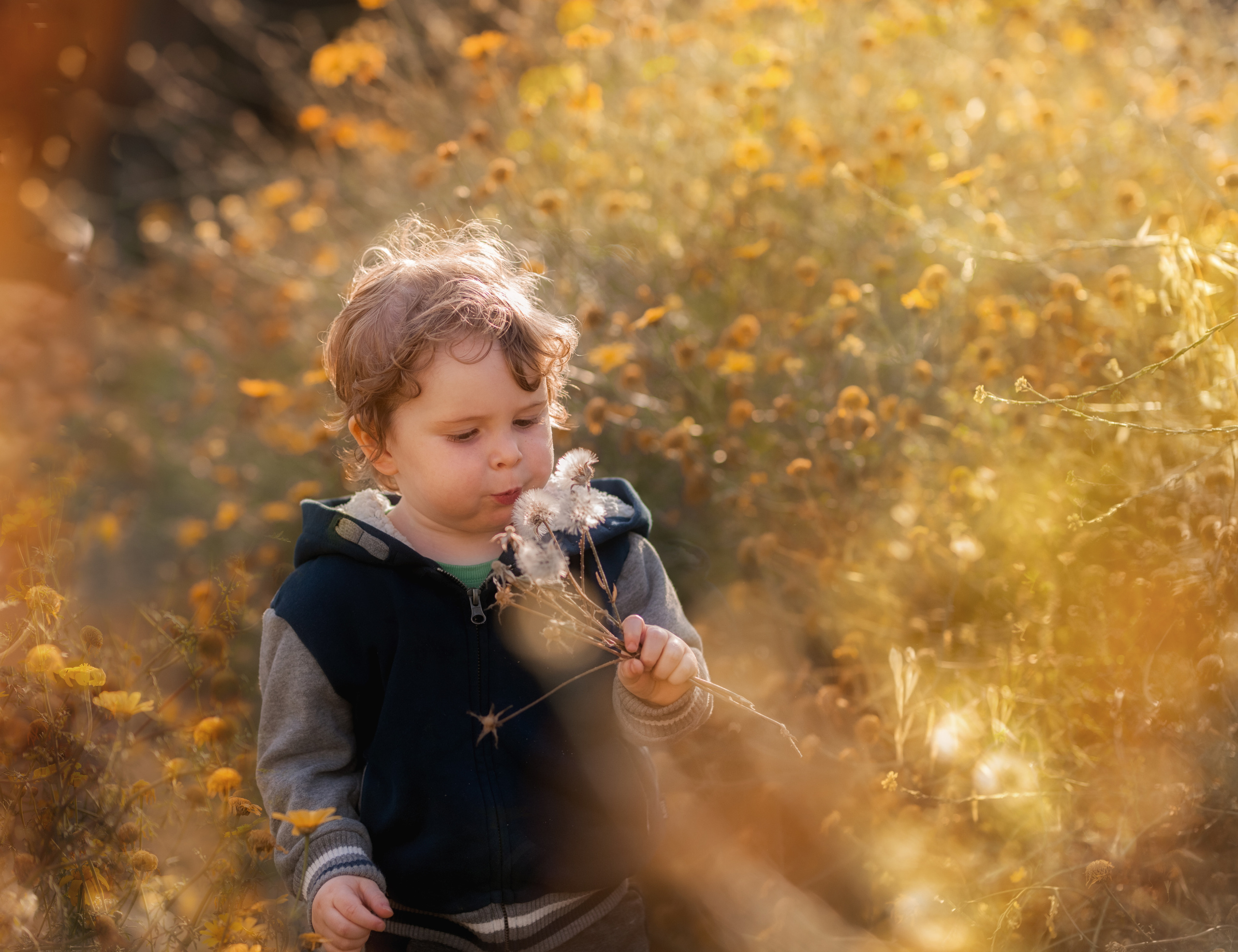 Children Photography. Professional photographer Serbia