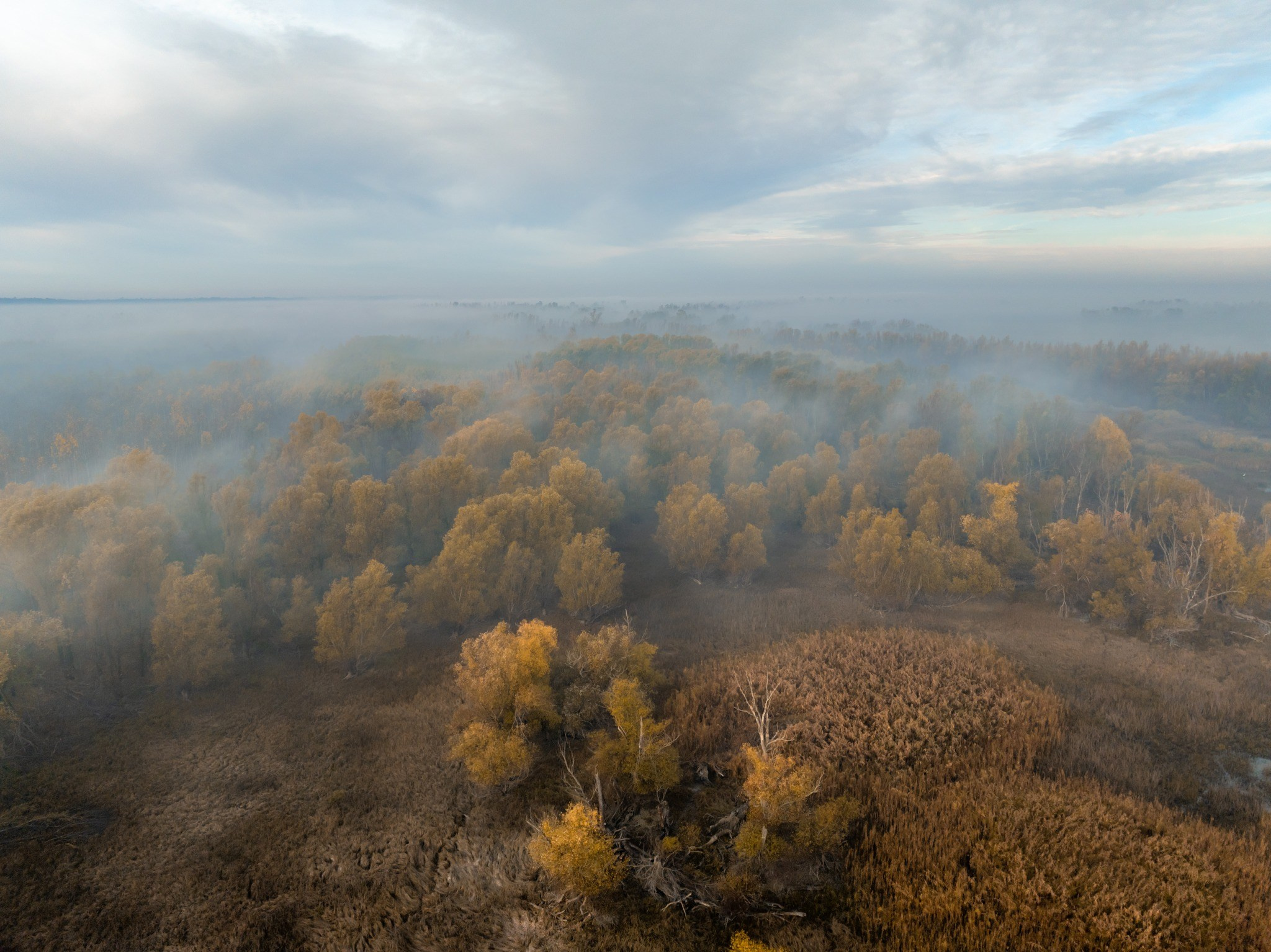 Landscape photography. Wedding photography