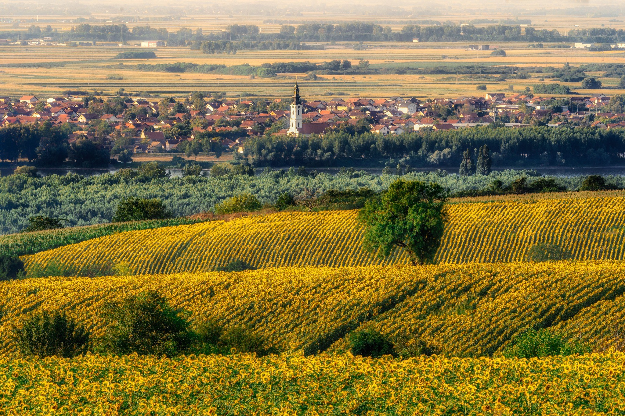 Landscape photography. Wedding photography