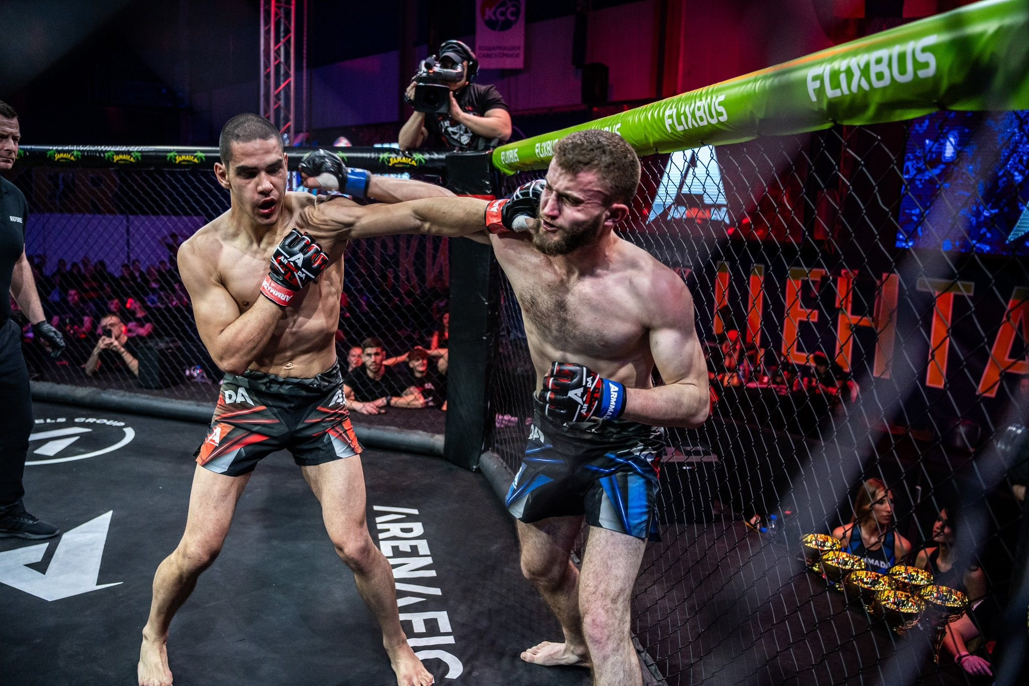 Sport. Wedding photography