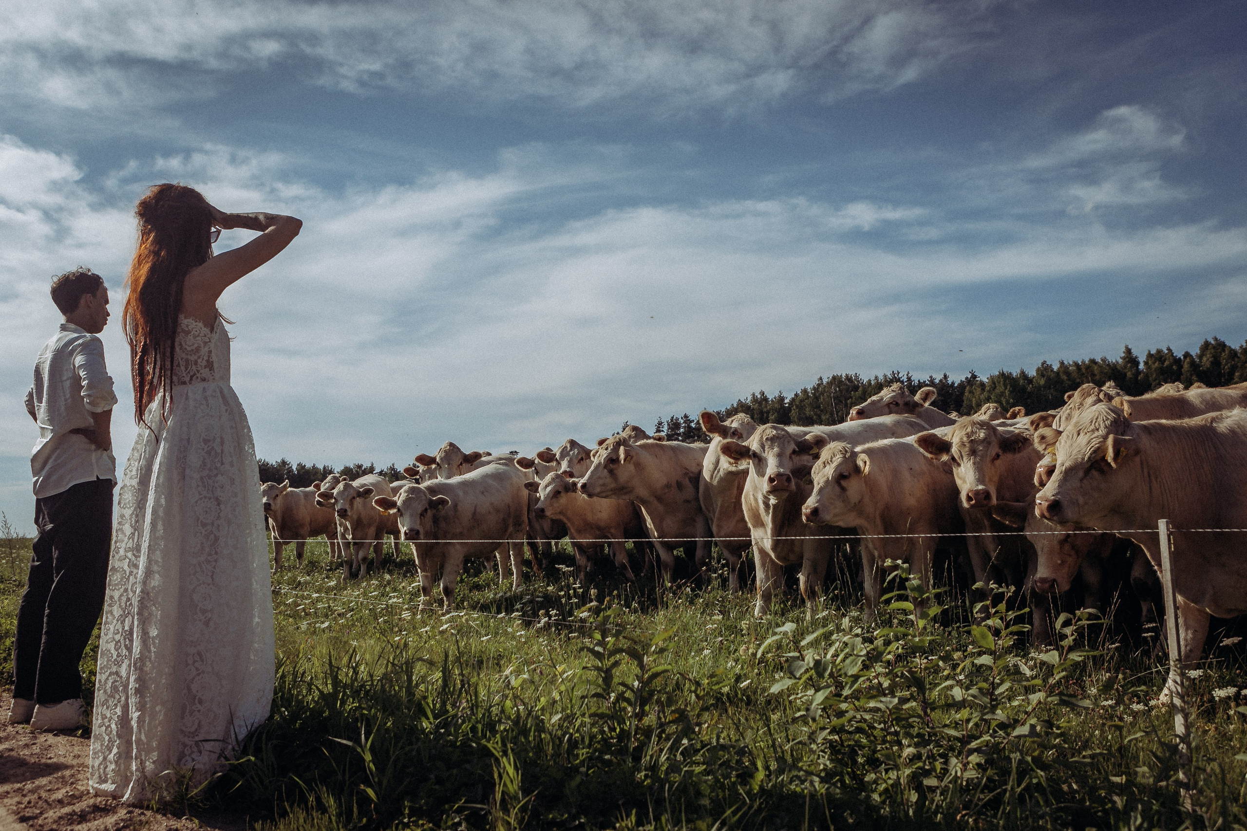 Wedding ceremony Agnese &Aleksandrs. Sandra Garanca Portrait and event photographer