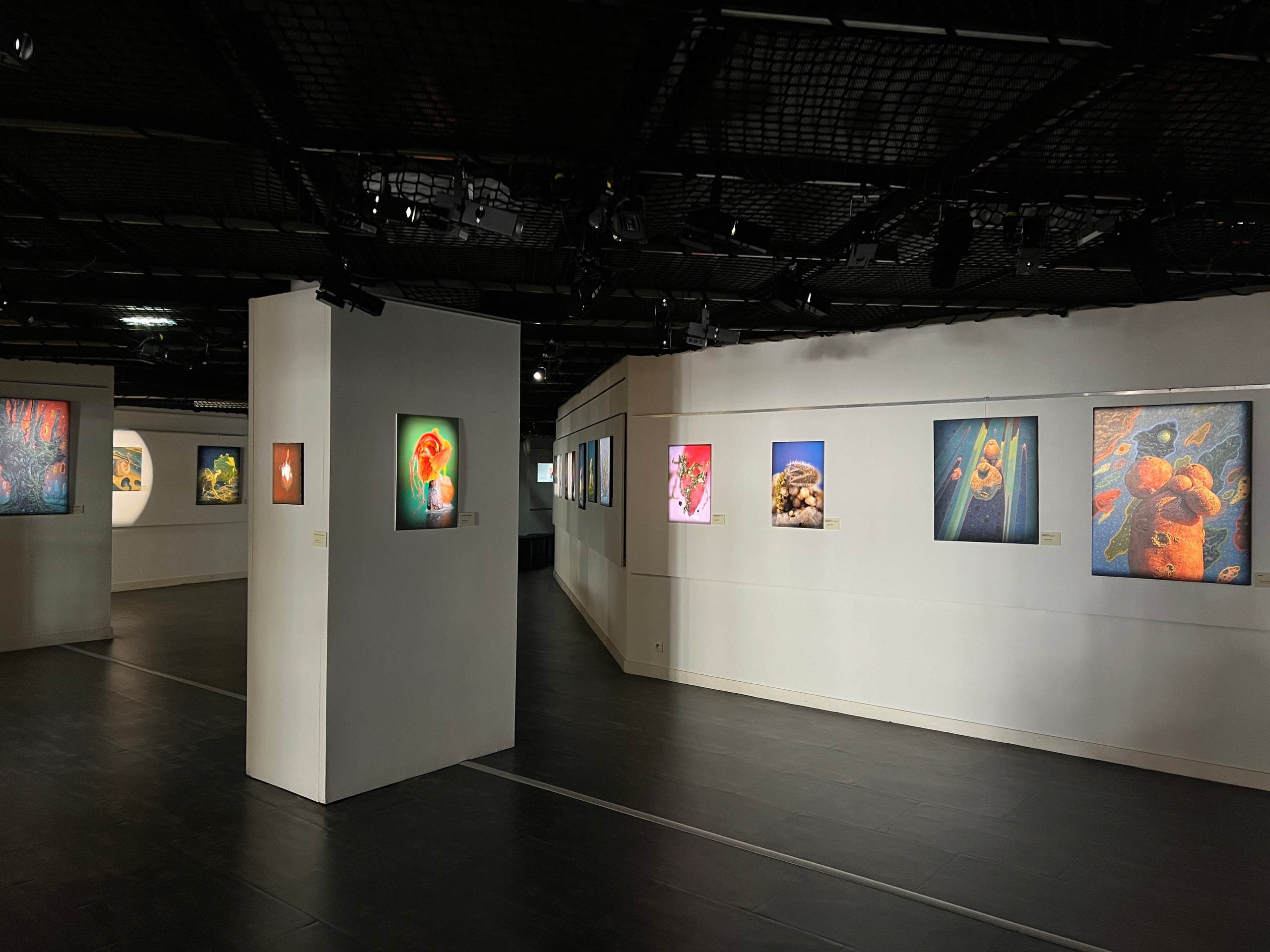 Jardin imaginé.2025. Yujoo HONG