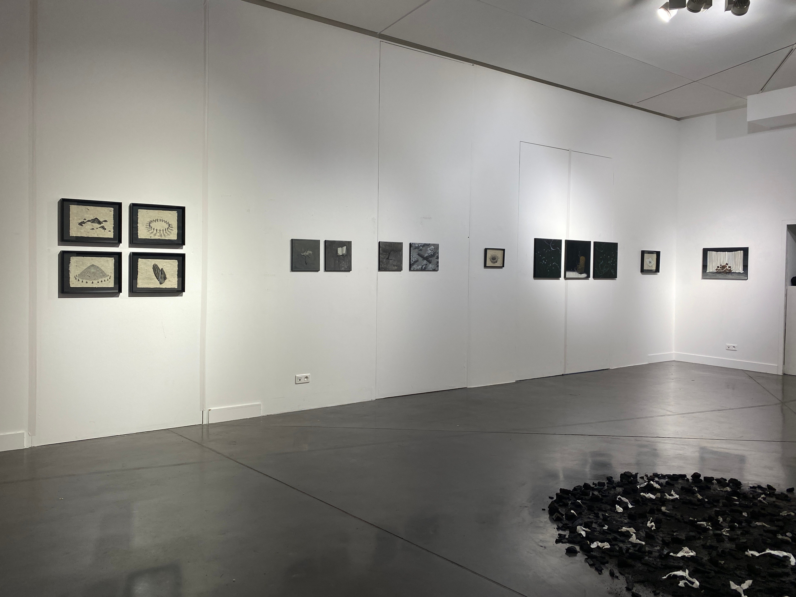 DNSEP.2024. Yujoo HONG