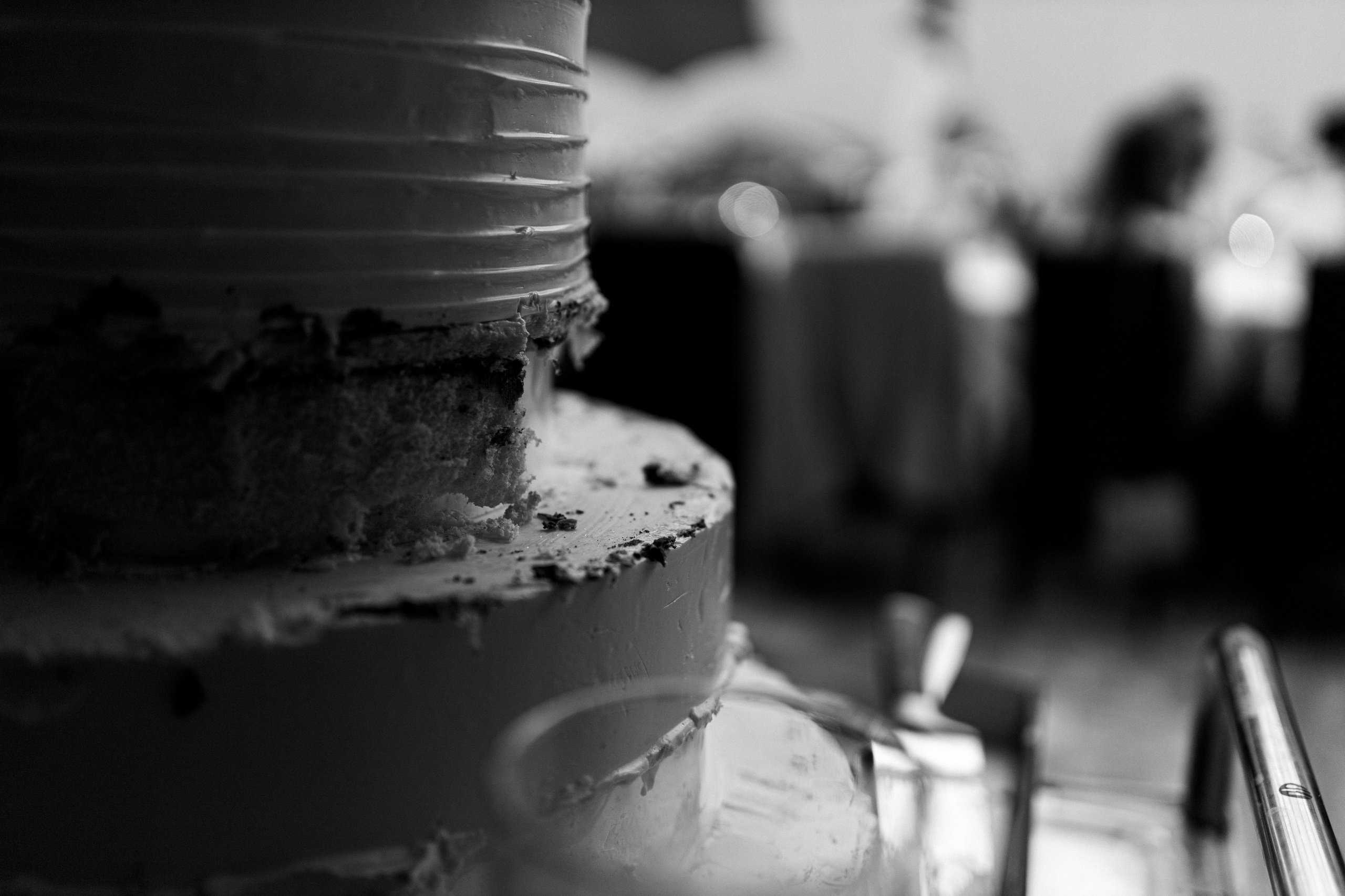 Hochzeitfotografin. Familien-, Hochzeits- und Newbornfotografin Neustadt an der Weinstraße