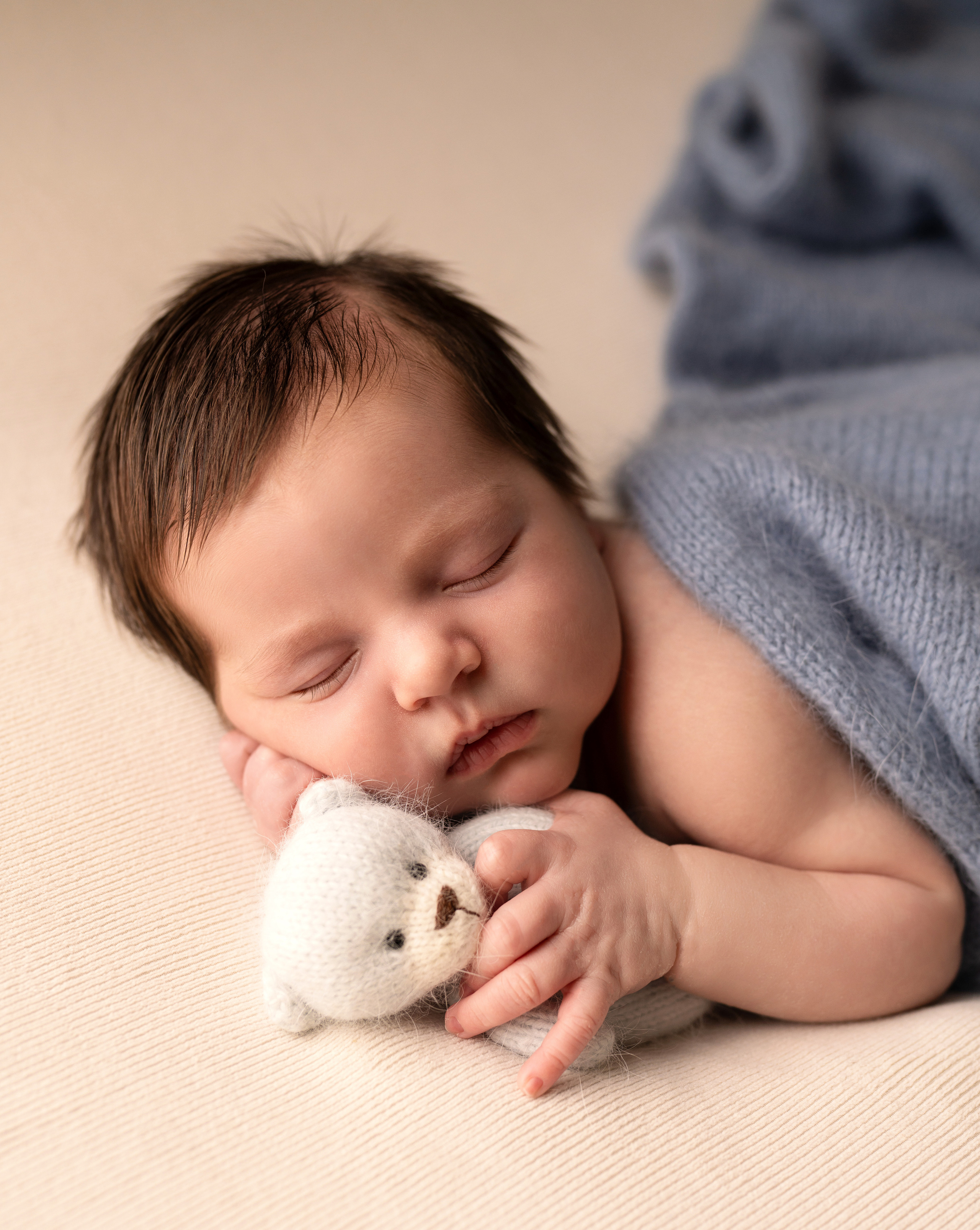 Newborn photography in Odessa, Florida