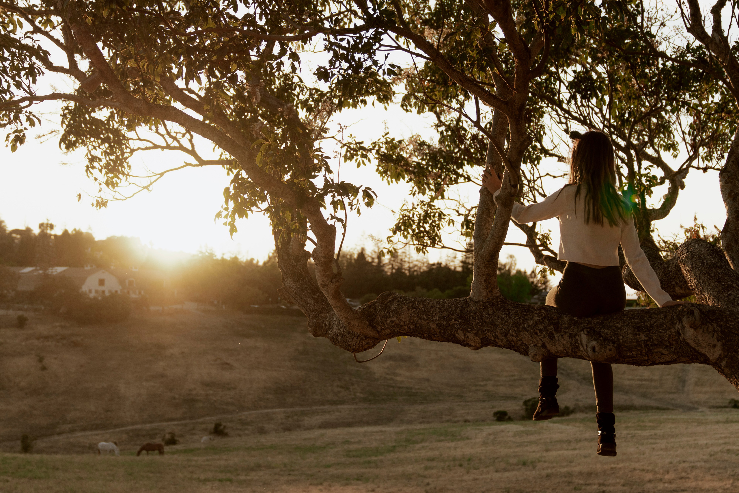 Sisterhood. San Francisco Bay Area photographer Natalia Ilina