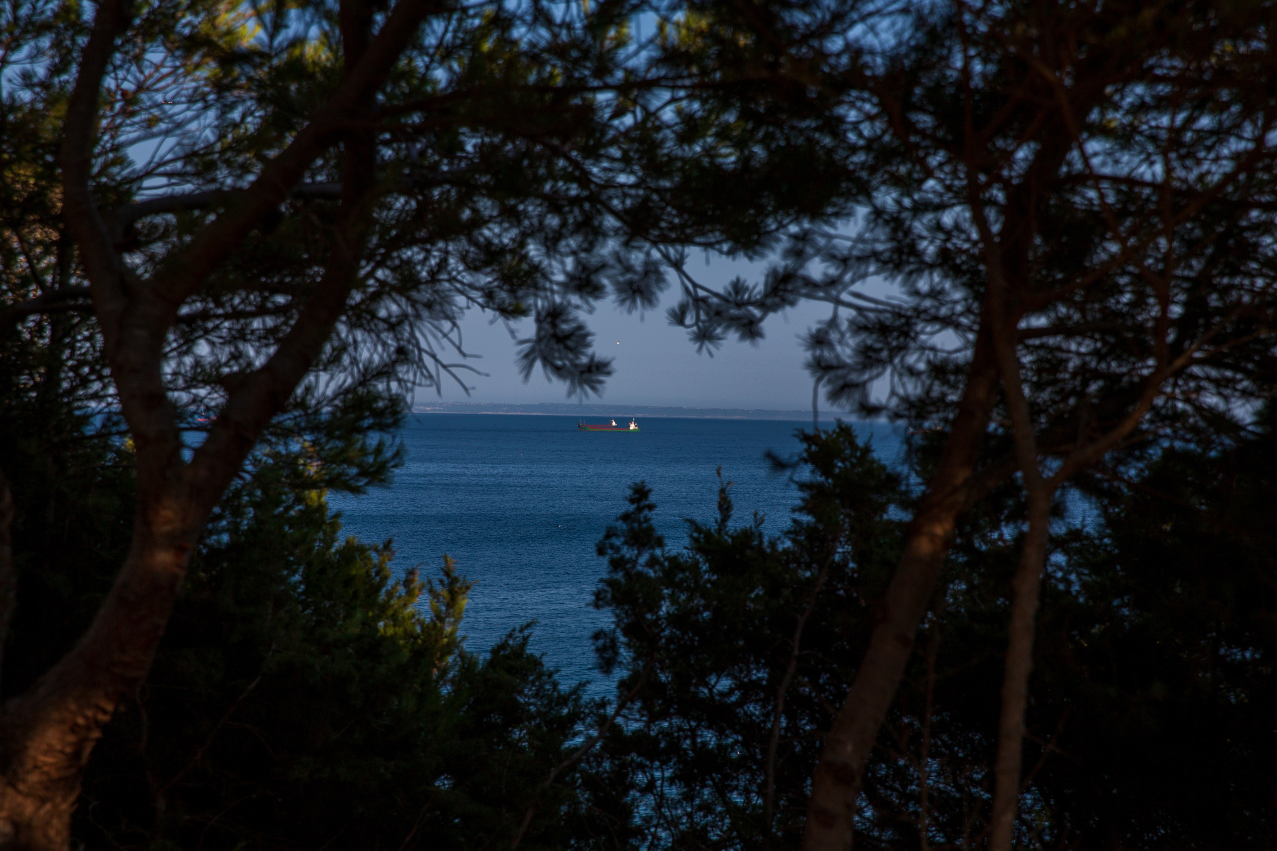 Paisagens. Thiago Chinellato