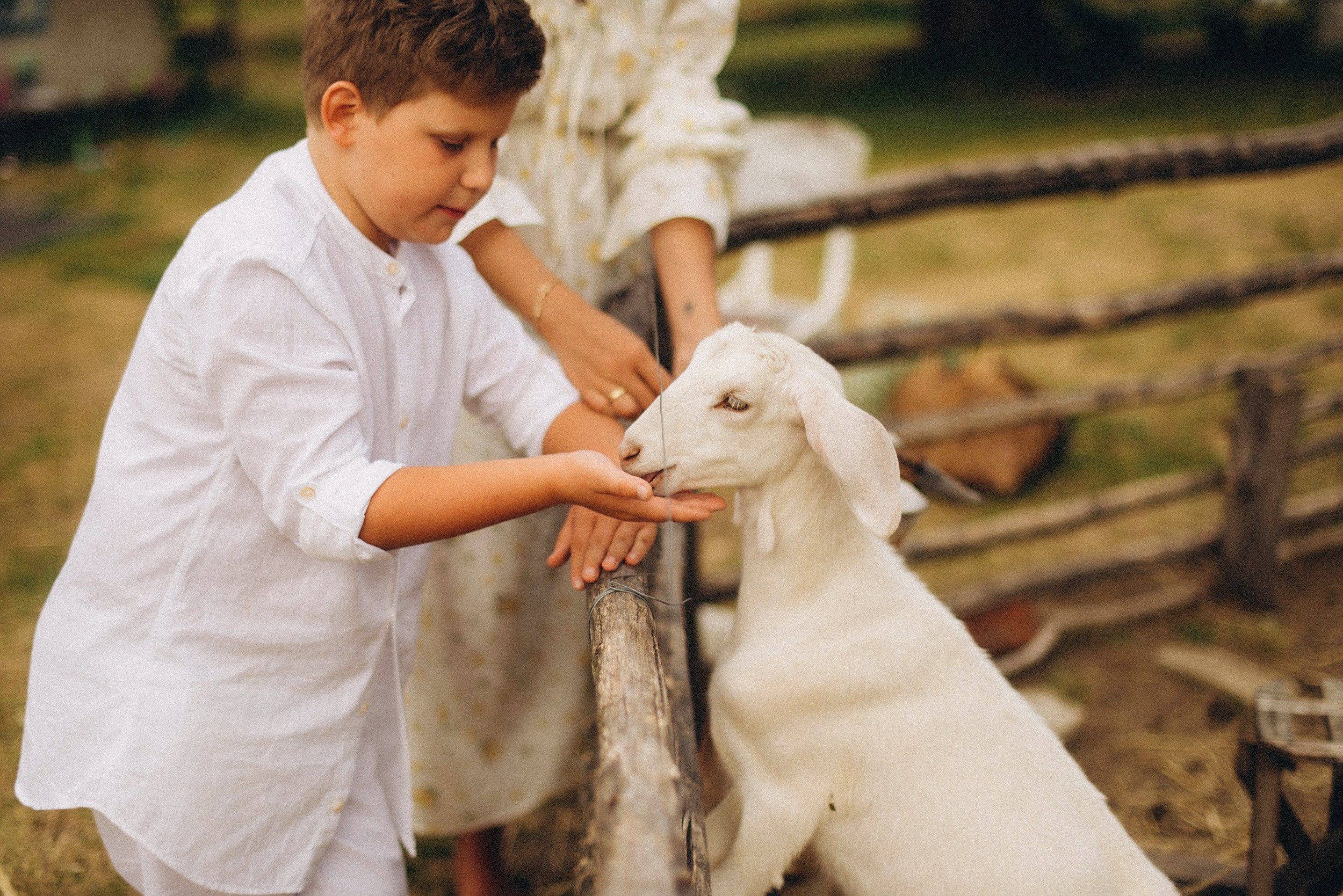 Беременность на природе. Семейный фотограф Лейпциг, Германия