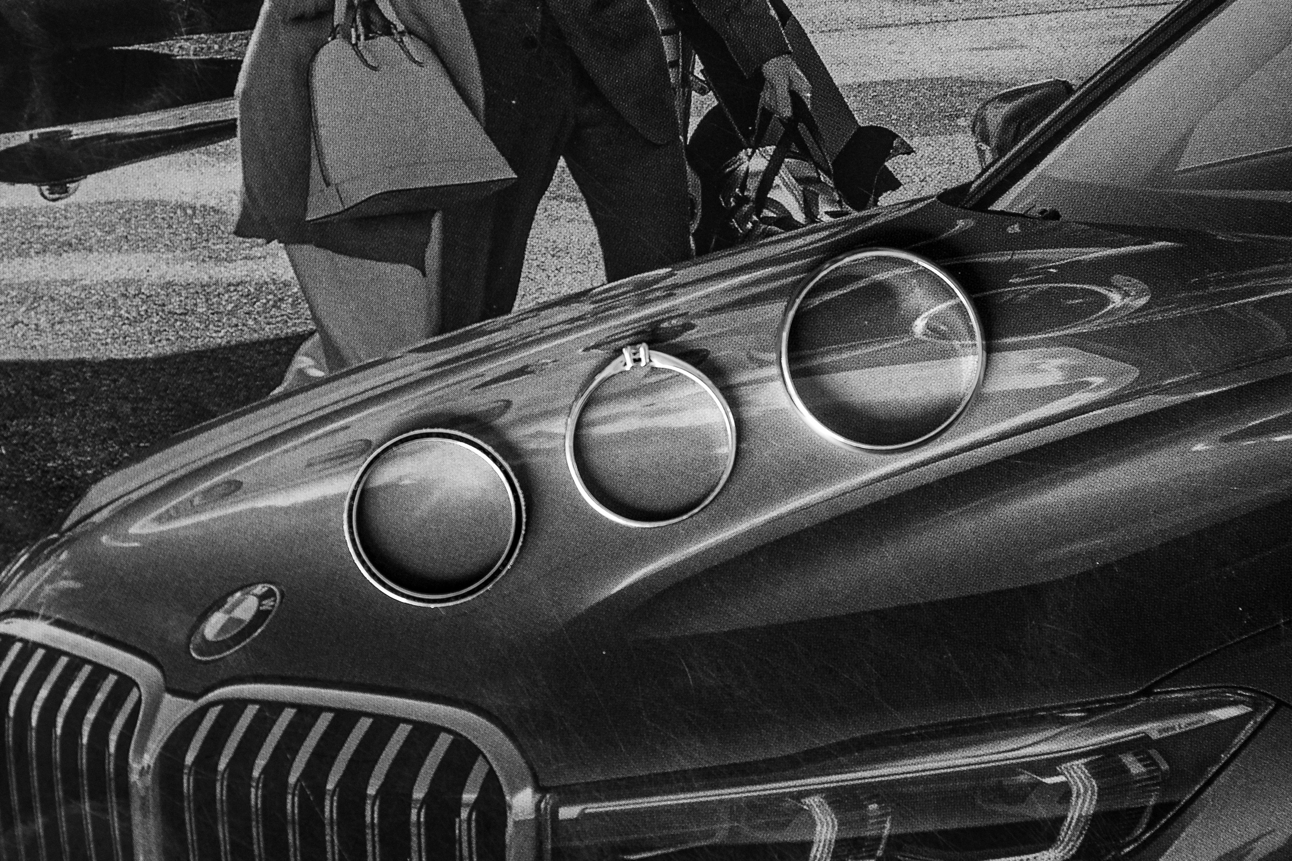 Versailles-park. Wedding photographer in Florida