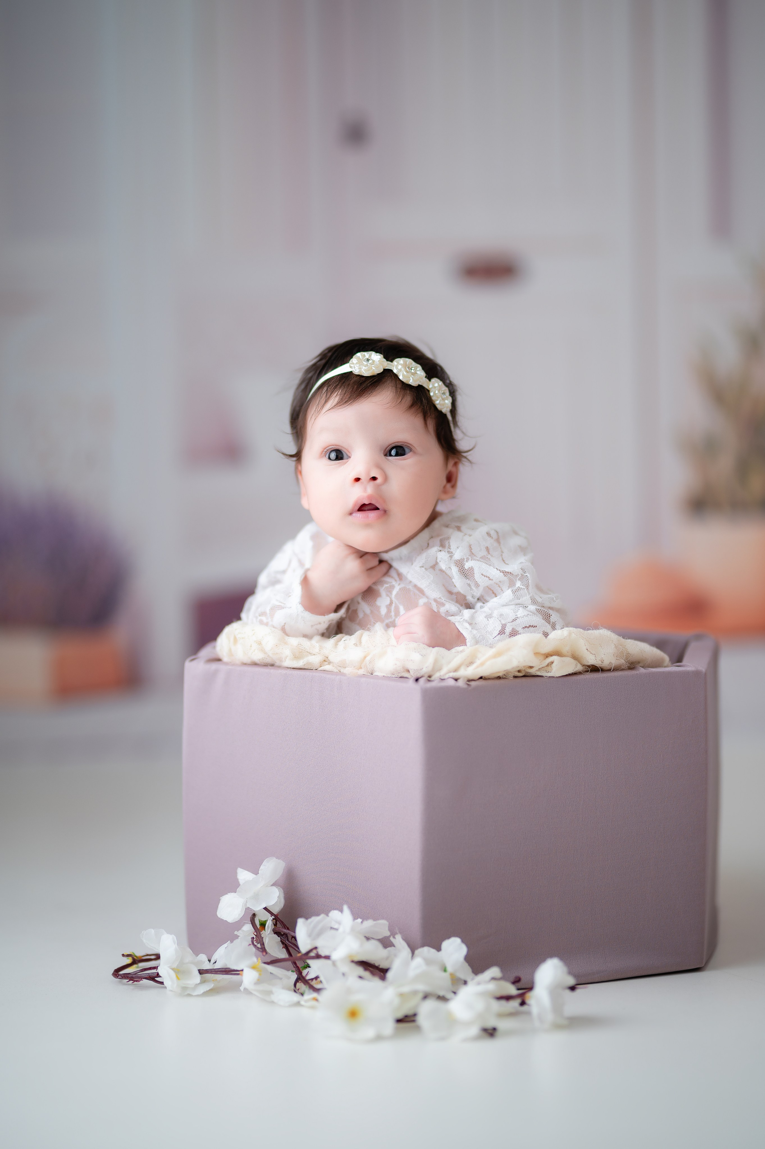 Acompanhamentos. Fotografamos famílias, gestantes, bebês e ensaios individuais